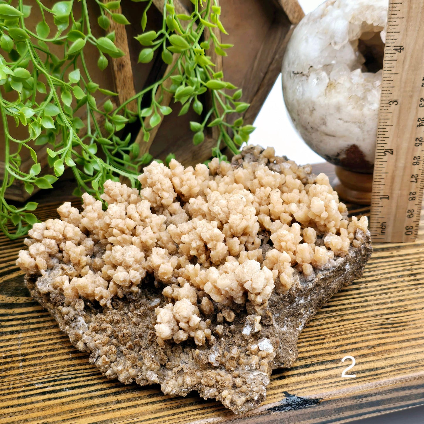  Calcite Crystal Cluster on Matrix - You Choose #1 variant 2 labeled with ruler for size reference