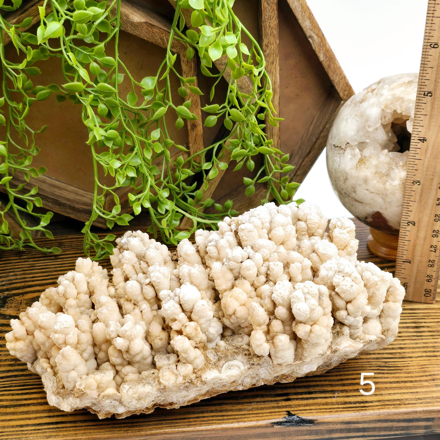  Calcite Crystal Cluster on Matrix - You Choose #1 variant 5 labeled with ruler for size reference
