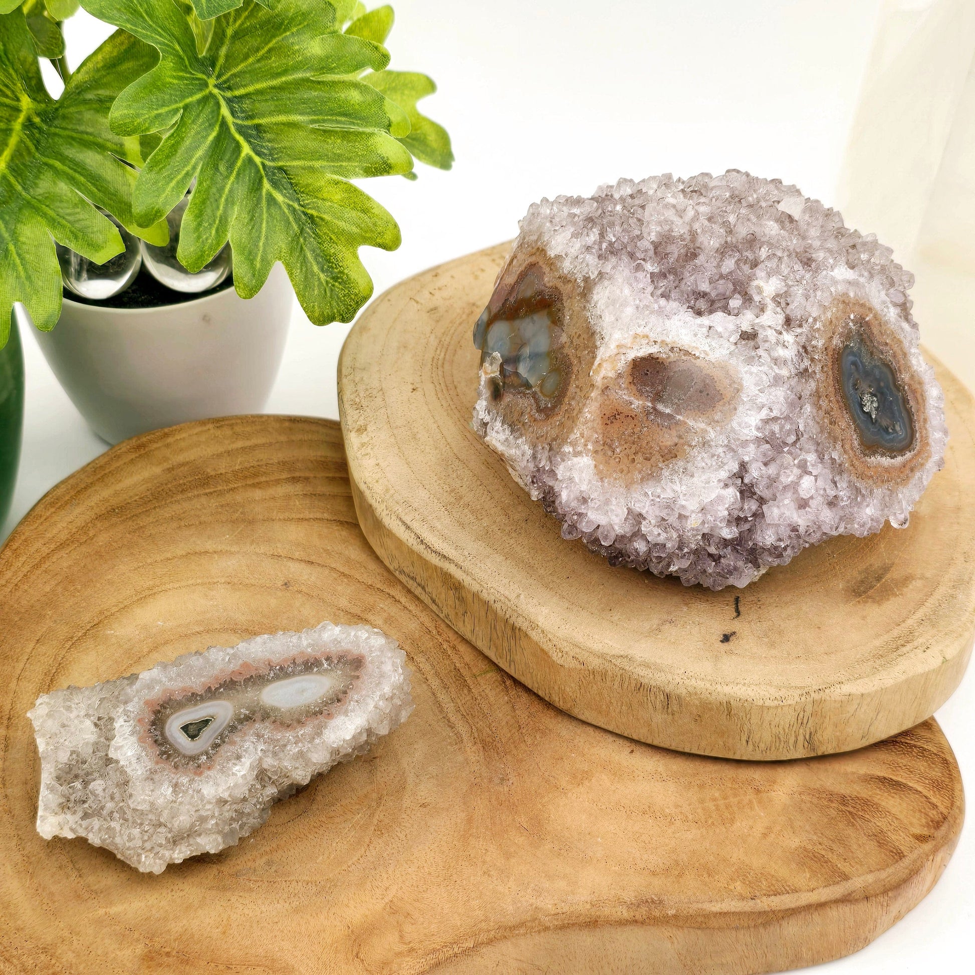 Amethyst Crystal Cluster with Stalactites Freeform - You Choose both variants on wooden platters with props and plants in the background