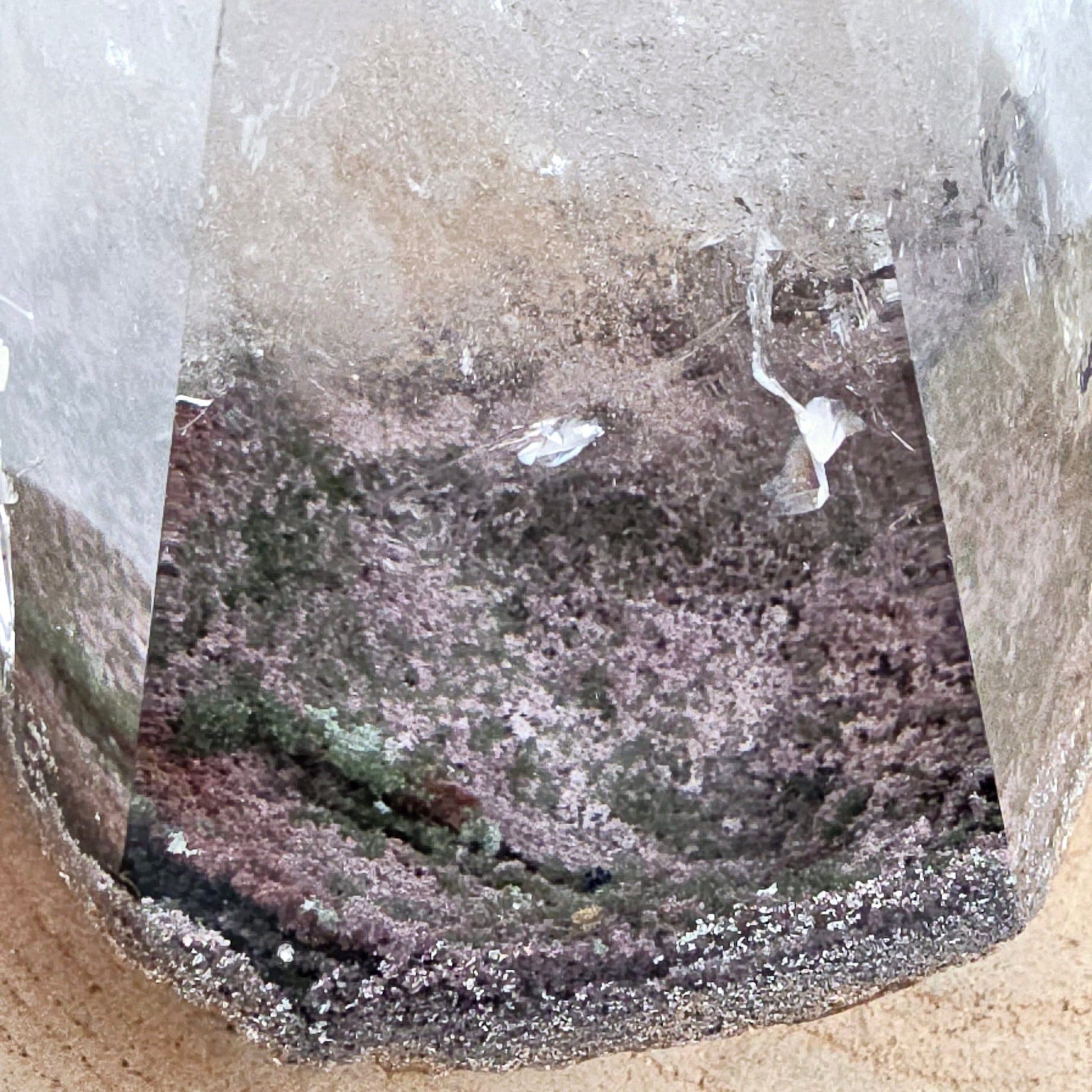 Lodalite Polished Crystal One-of-a-Kind #11 closeup for detail