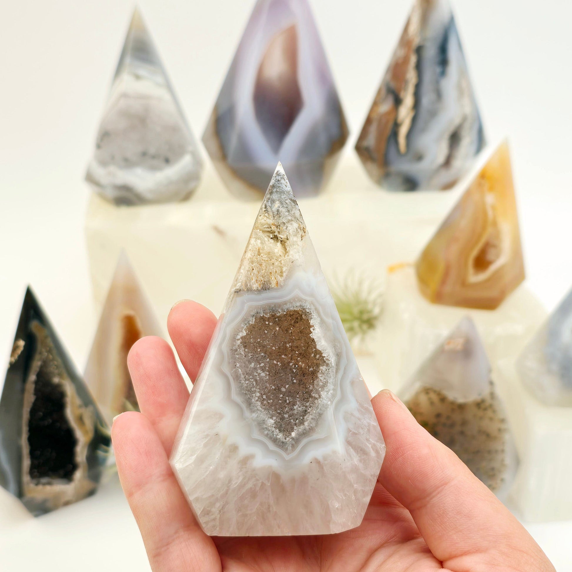 Agate Druzy Geode Long Wide Crystal Point Cut Base - You Choose #1 - variant 3 in hand for size reference with others in background with props and plants