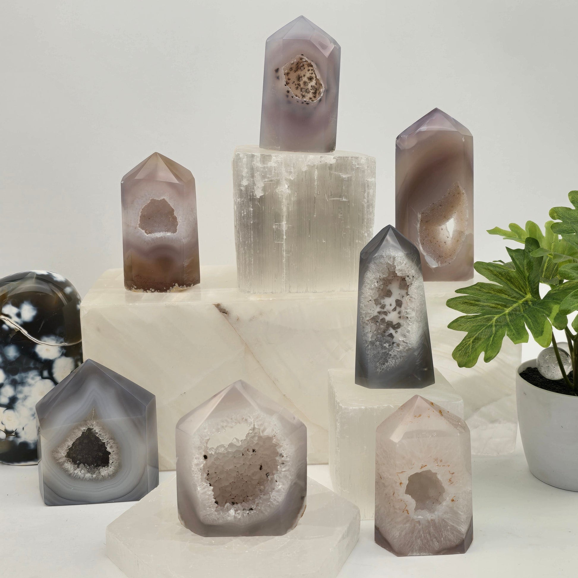 Agate Druzy Geode Polished Crystal Point - You Choose #3 all variants with props and plants