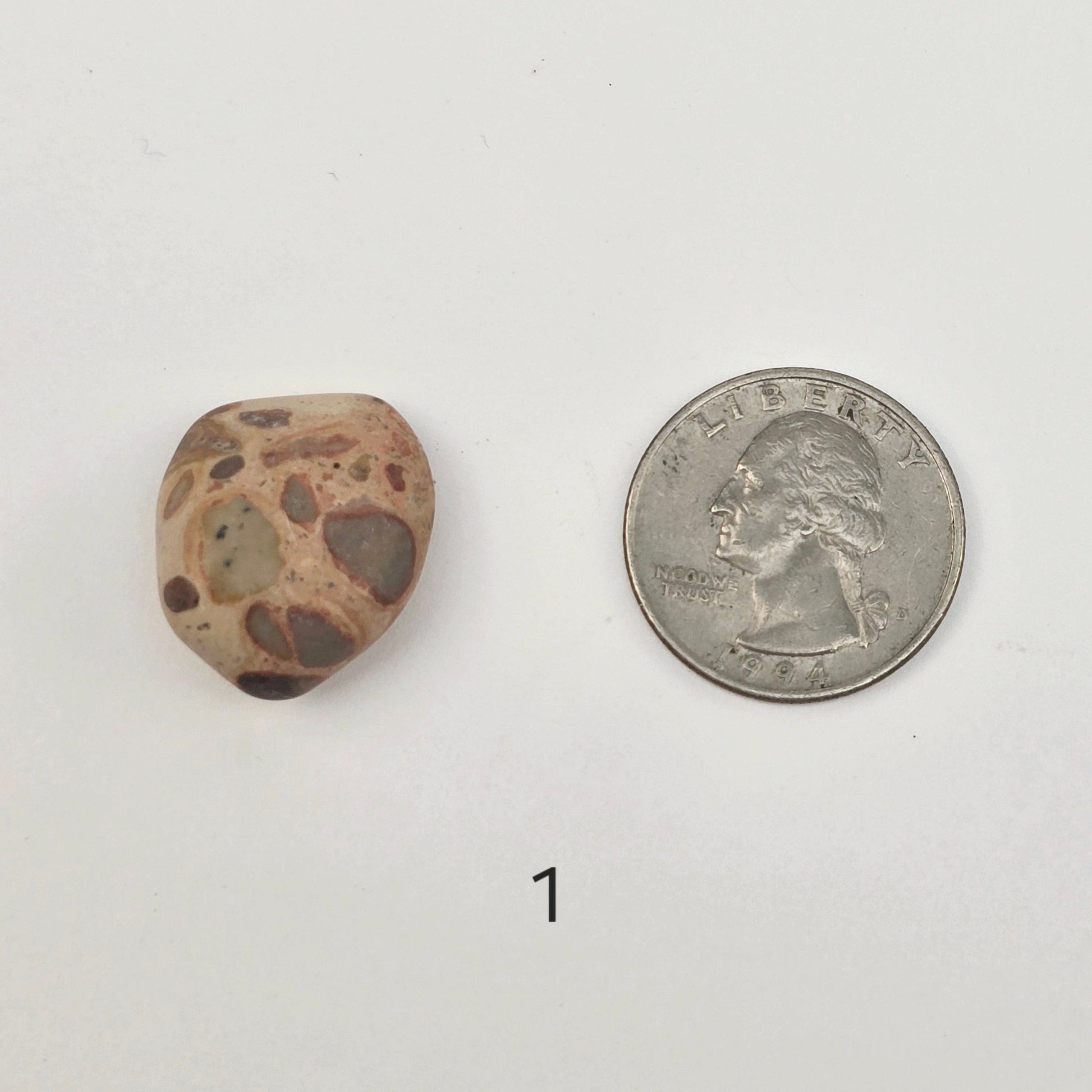 Leopard Skin Jasper Small Tumbled Stone - Tumbled Crystal - You Choose Quantity 1, 5, 10 - 1 quantity labeled with quarter for size reference