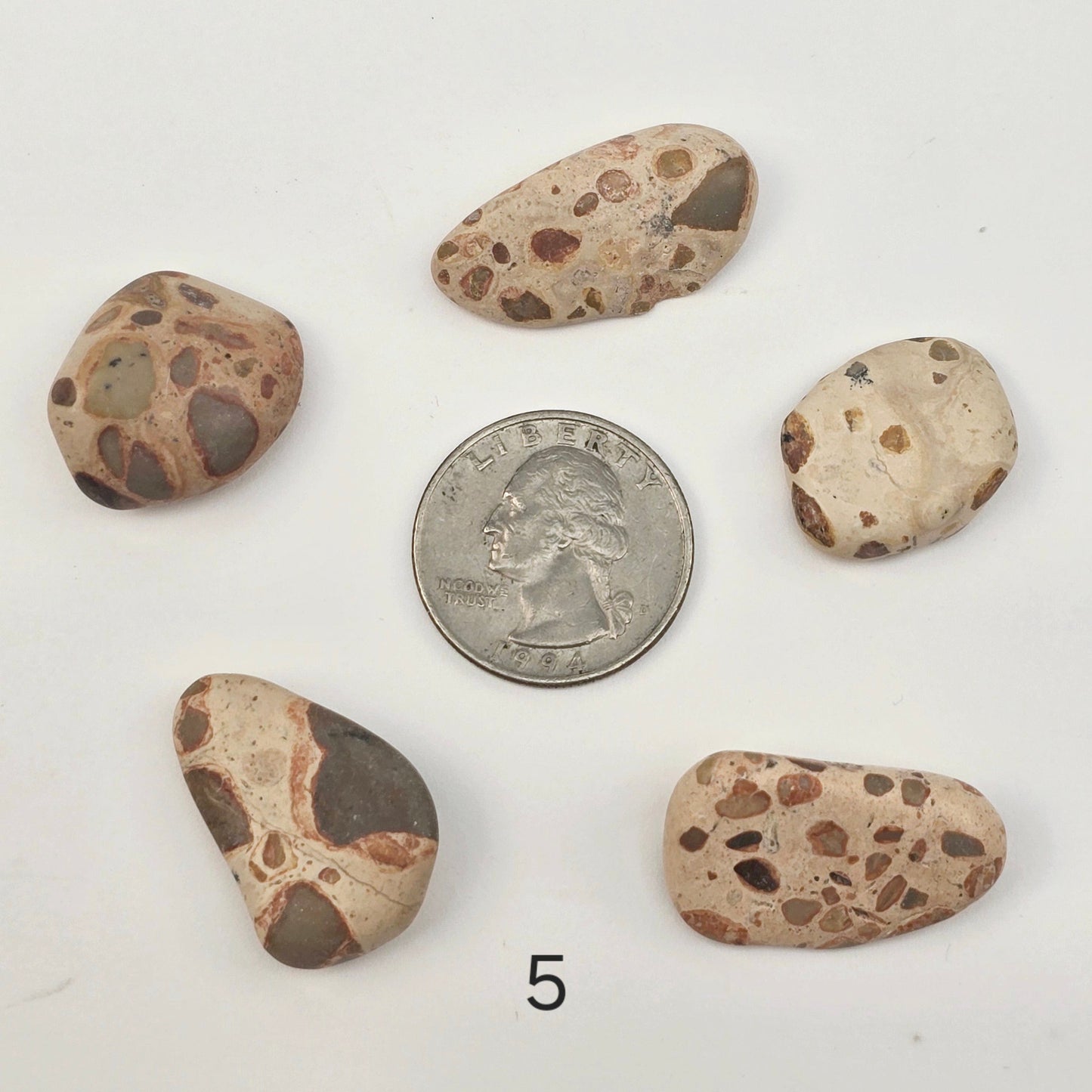 Leopard Skin Jasper Small Tumbled Stone - Tumbled Crystal - You Choose Quantity 1, 5, 10 - 5 quantity labeled with quarter for size reference