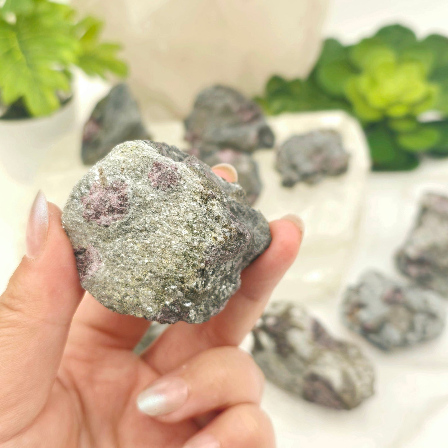 Garnet Crystals in Mica Schist - You Choose #1 variant 9 in hand for size reference with others in background with props and plants