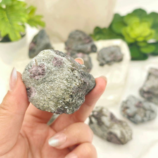 Garnet Crystals in Mica Schist - You Choose #1 variant 9 in hand for size reference with others in background with props and plants
