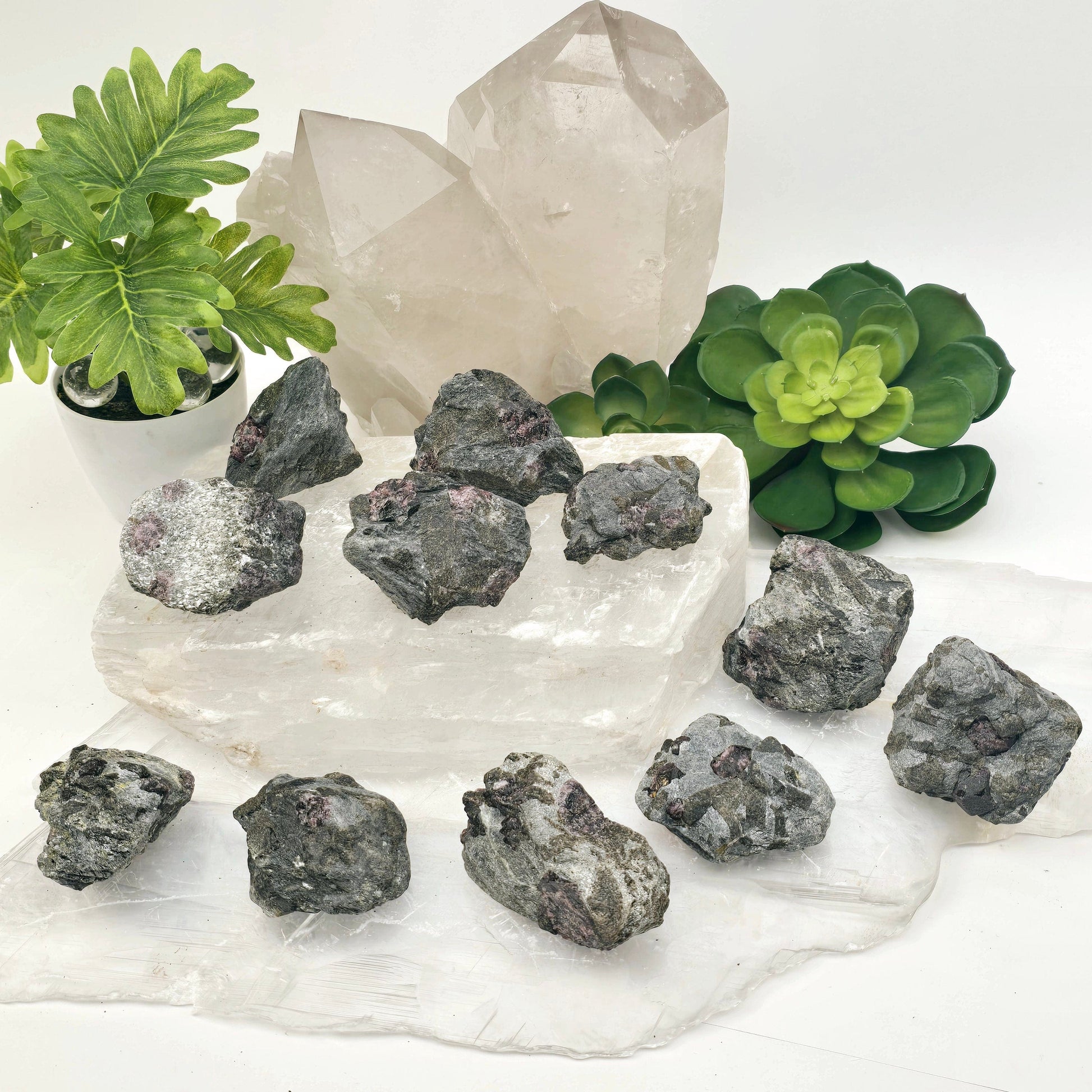 Garnet Crystals in Mica Schist - You Choose #1 all variants side view with props and plants in the background