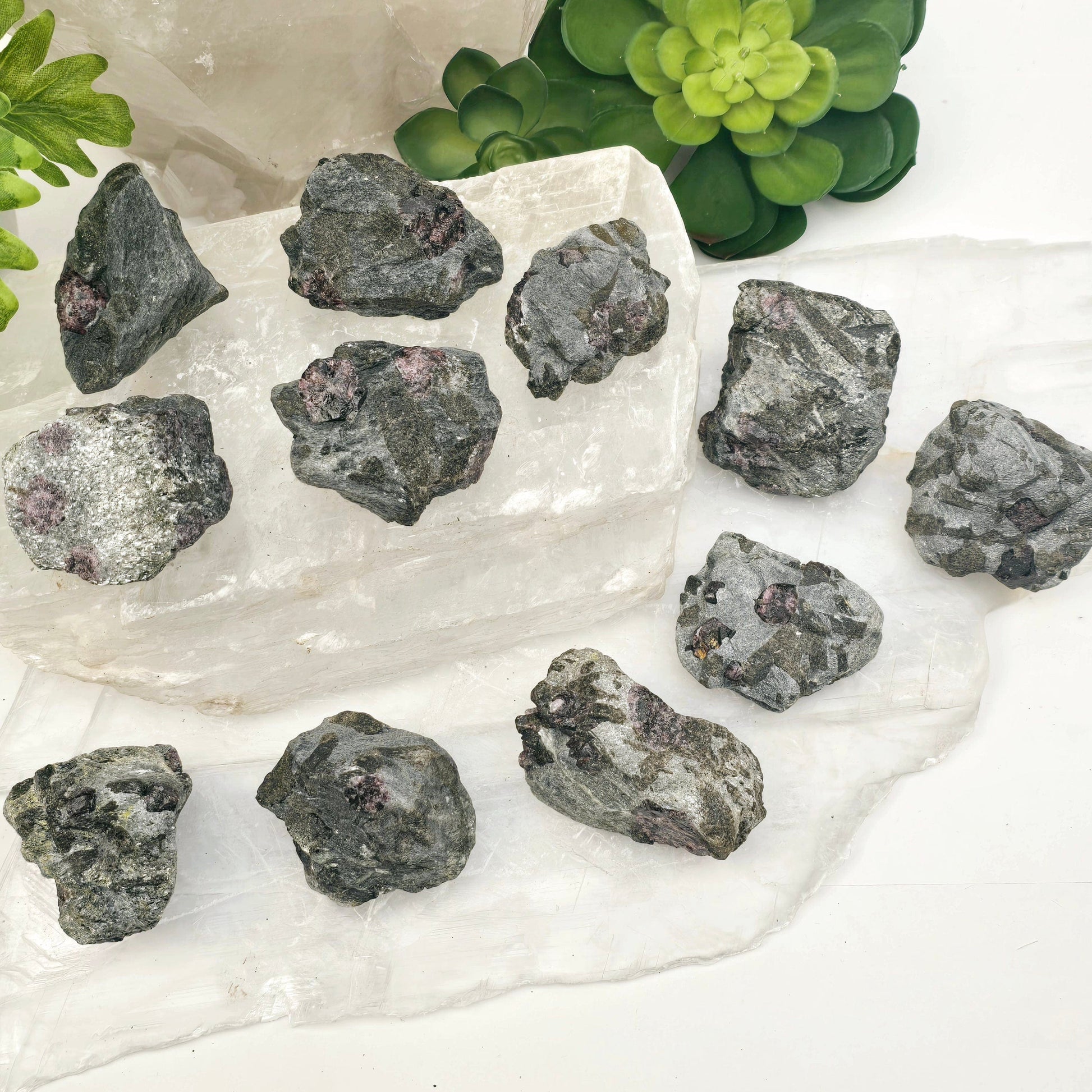 Garnet Crystals in Mica Schist - You Choose #1 top view all variants with plants and props in the background