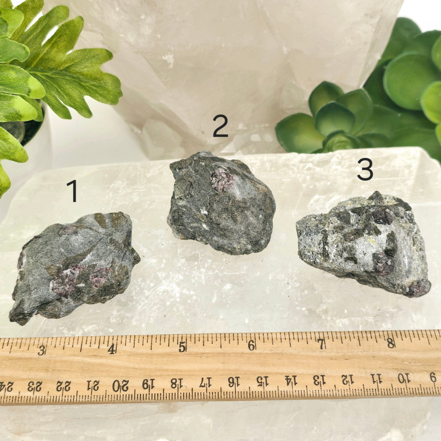 Garnet Crystals in Mica Schist - You Choose #1 variants 1, 2, and 3 labeled with ruler for size reference