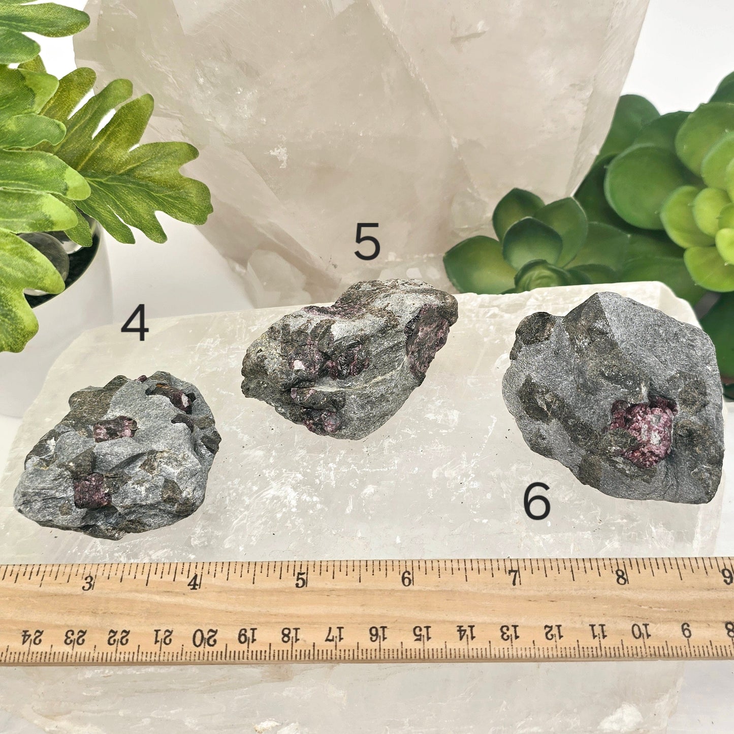 Garnet Crystals in Mica Schist - You Choose #1 variants 4, 5, and 6 labeled with ruler for size reference
