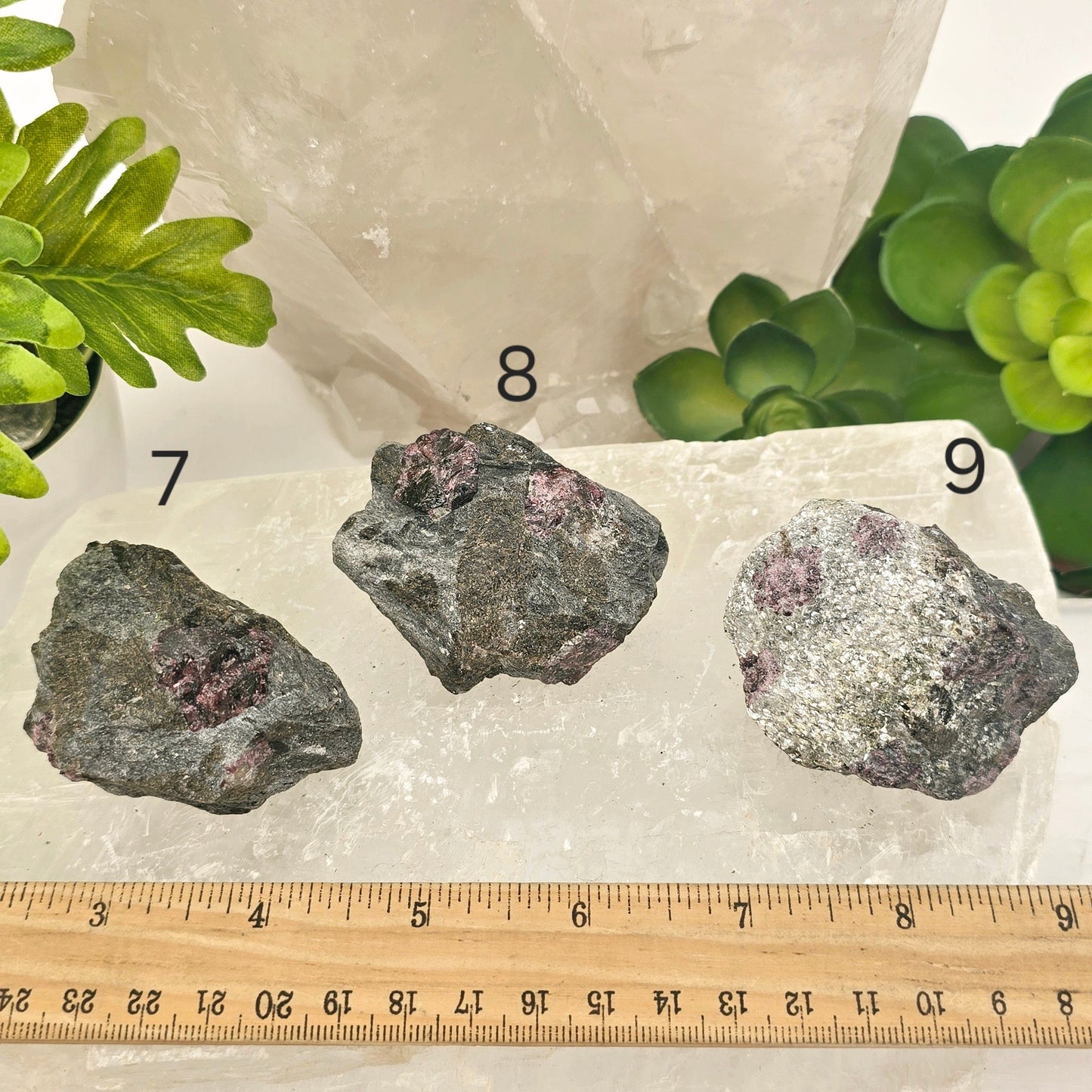 Garnet Crystals in Mica Schist - You Choose #1 variants 7, 8, and 9 labeled with ruler for size reference