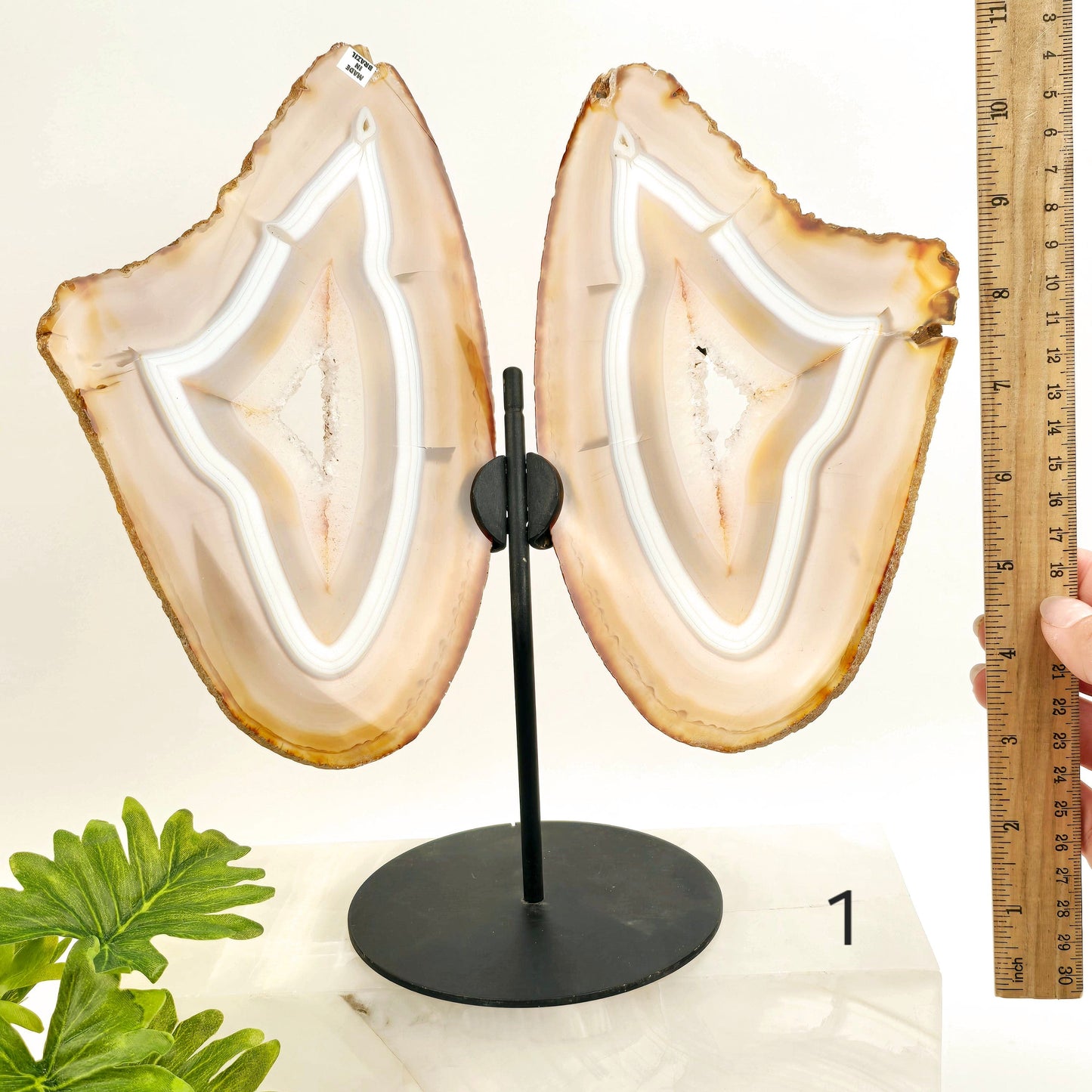 Agate Butterfly Wings - Crystal Slices Pair on Metal Stand - You Choose #2 variant 1 labeled with ruler for size reference 