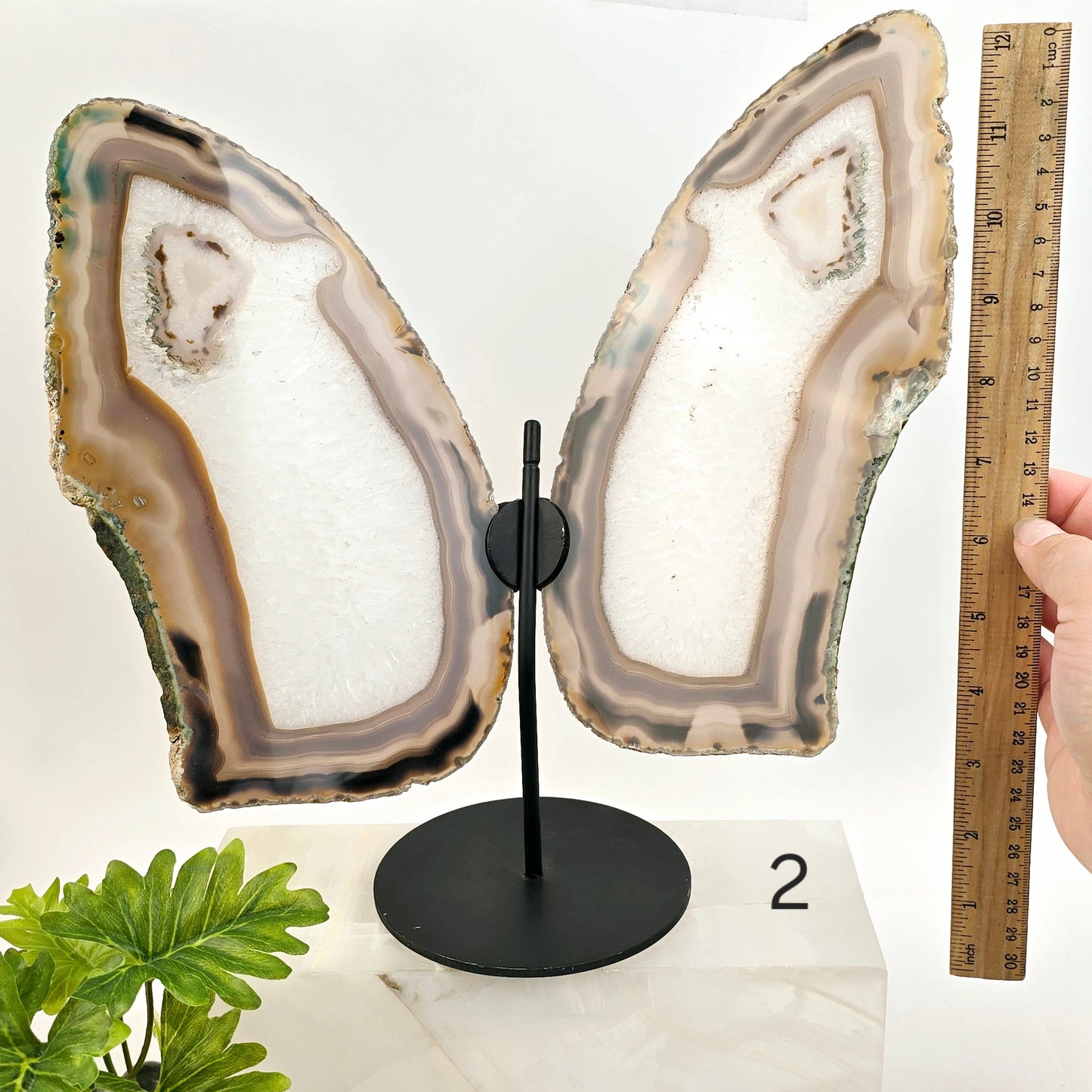 Agate Butterfly Wings - Crystal Slices Pair on Metal Stand - You Choose #2 variant 2 labeled with ruler for size reference 