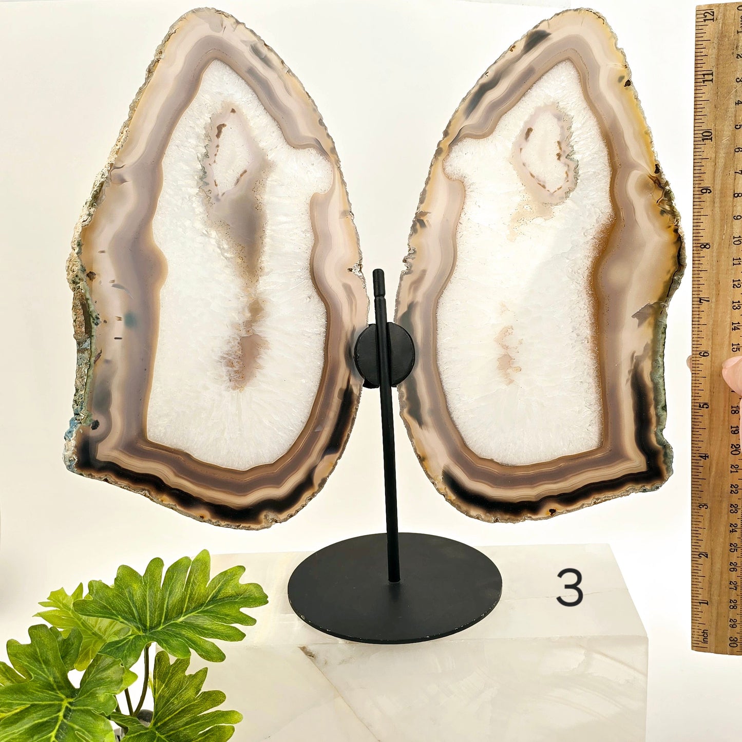 Agate Butterfly Wings - Crystal Slices Pair on Metal Stand - You Choose #2 variant 3 labeled with ruler for size reference 