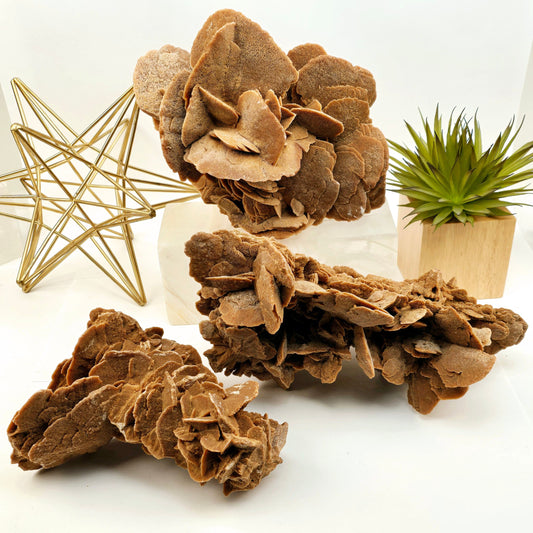 Desert Rose - Sand Rose Crystal Cluster from Morocco - You Choose all variants with props and plants in the background