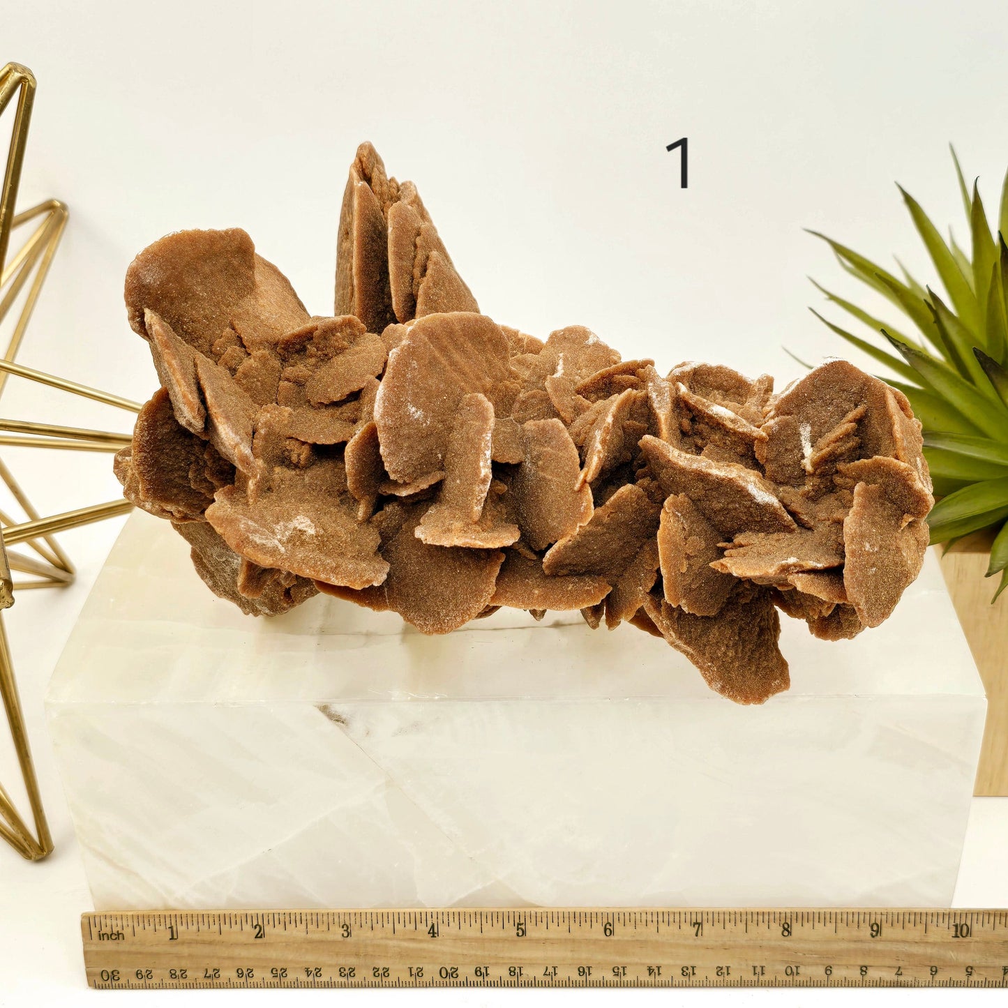 Desert Rose - Sand Rose Crystal Cluster from Morocco - You Choose variant 1 labeled with ruler for size reference