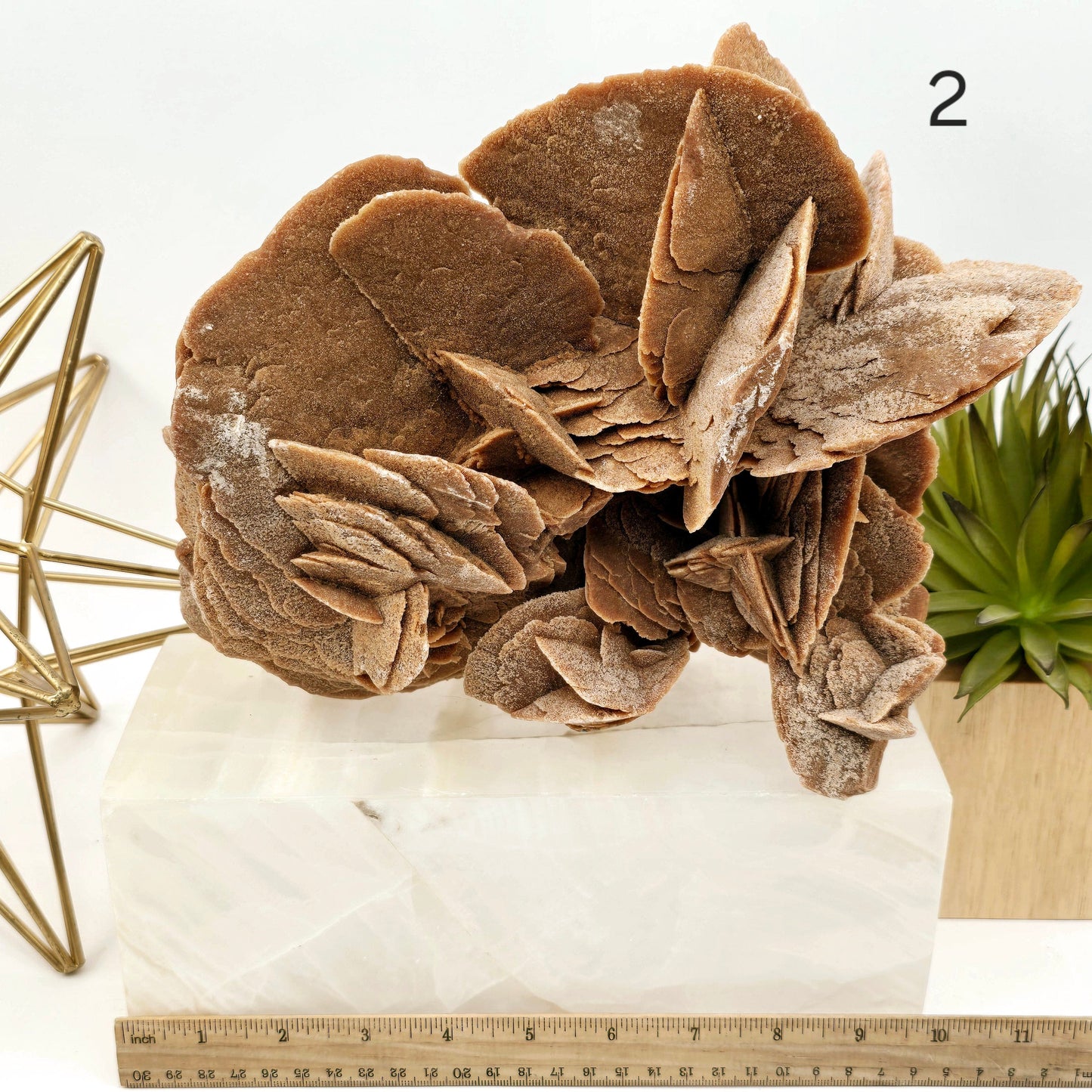 Desert Rose - Sand Rose Crystal Cluster from Morocco - You Choose variant 2 labeled with ruler for size reference