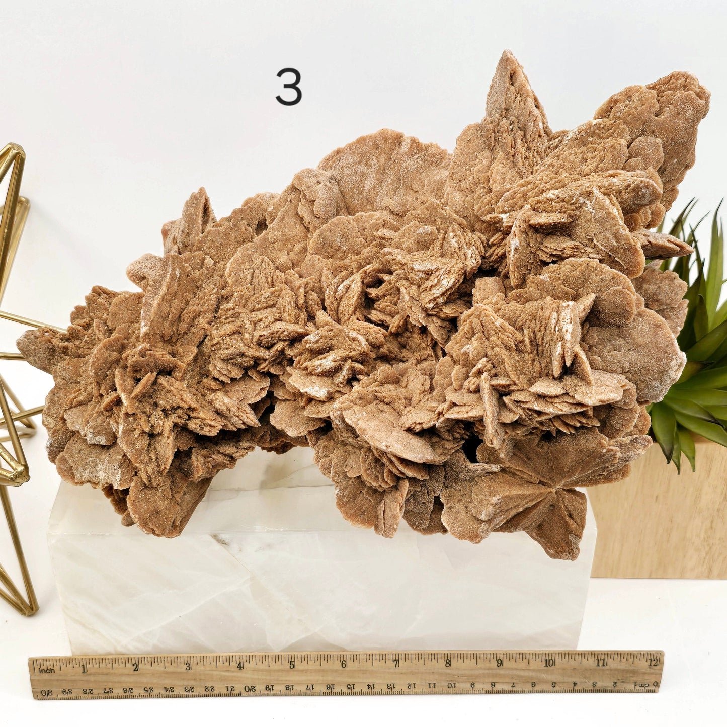 Desert Rose - Sand Rose Crystal Cluster from Morocco - You Choose variant 3 labeled with ruler for size reference