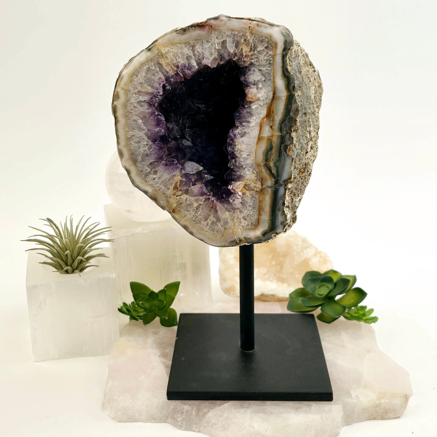 Amethyst Crystal Geode on Metal Stand - One-of-a-Kind #1 front view with props and plants in the background