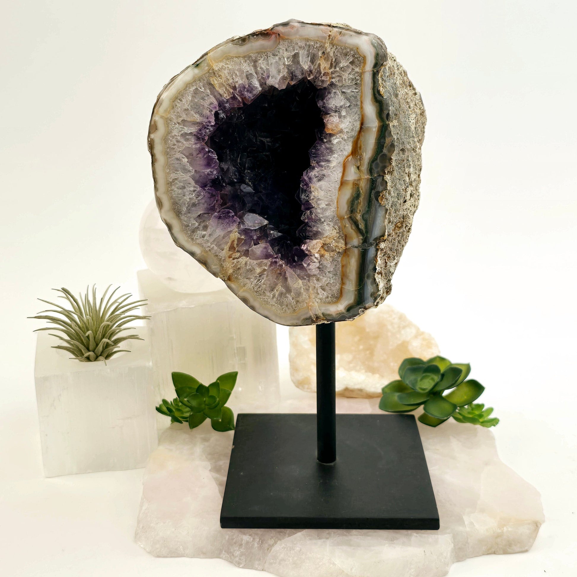 Amethyst Crystal Geode on Metal Stand - One-of-a-Kind #1 front view with props and plants in the background