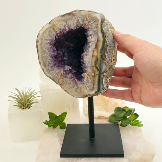 Amethyst Crystal Geode on Metal Stand - One-of-a-Kind #1 - with hand for size reference with props and plants in the background