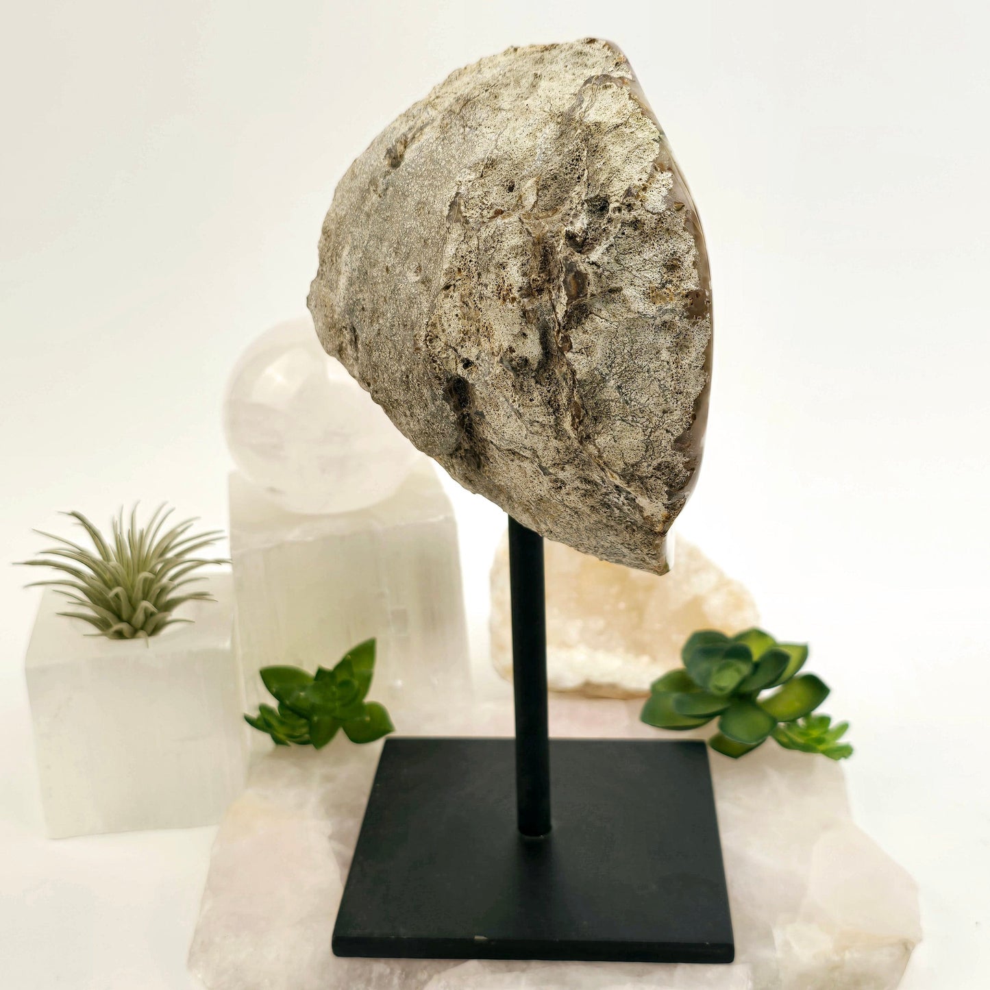 Amethyst Crystal Geode on Metal Stand - One-of-a-Kind #1 side view