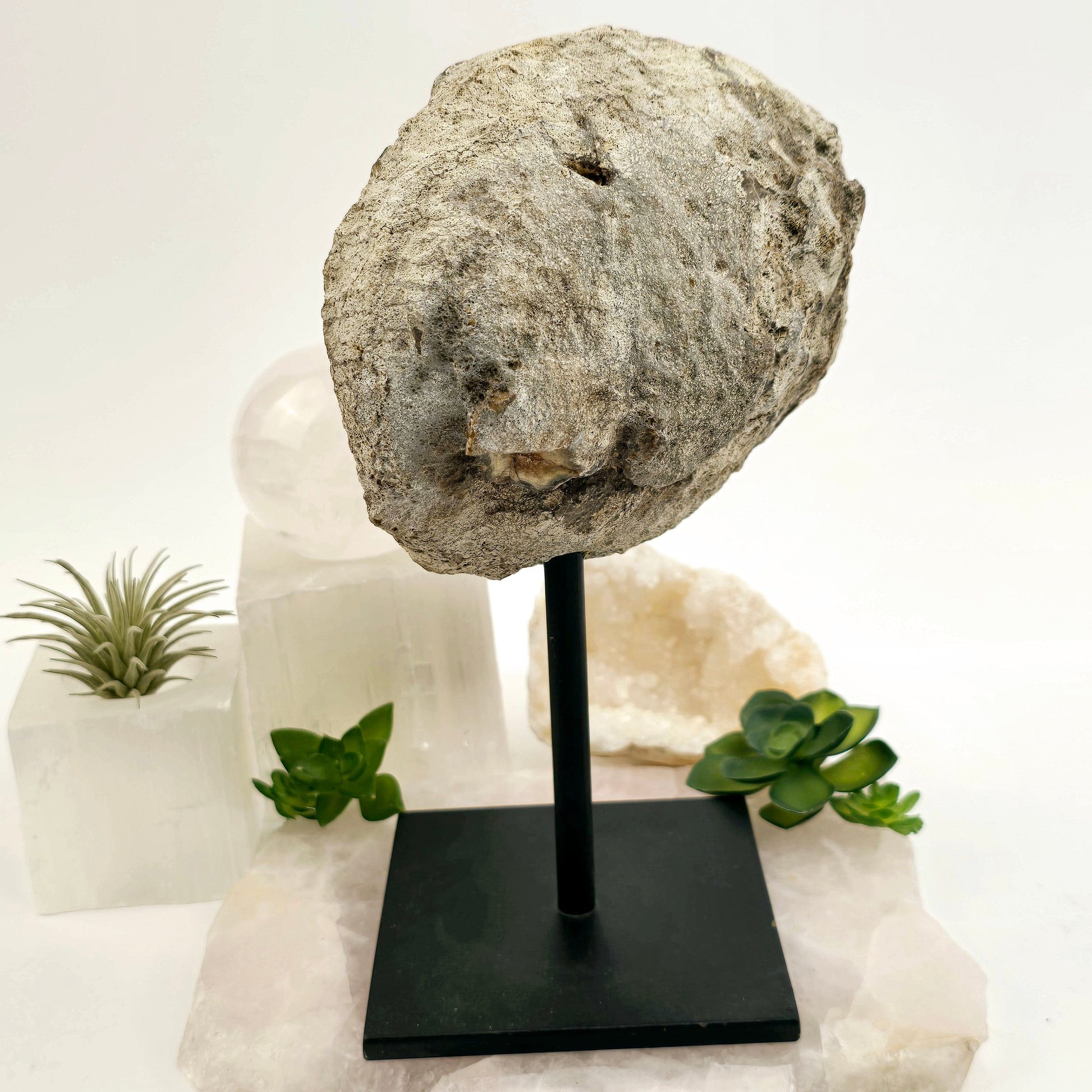 Amethyst Crystal Geode on Metal Stand - One-of-a-Kind #1 back view