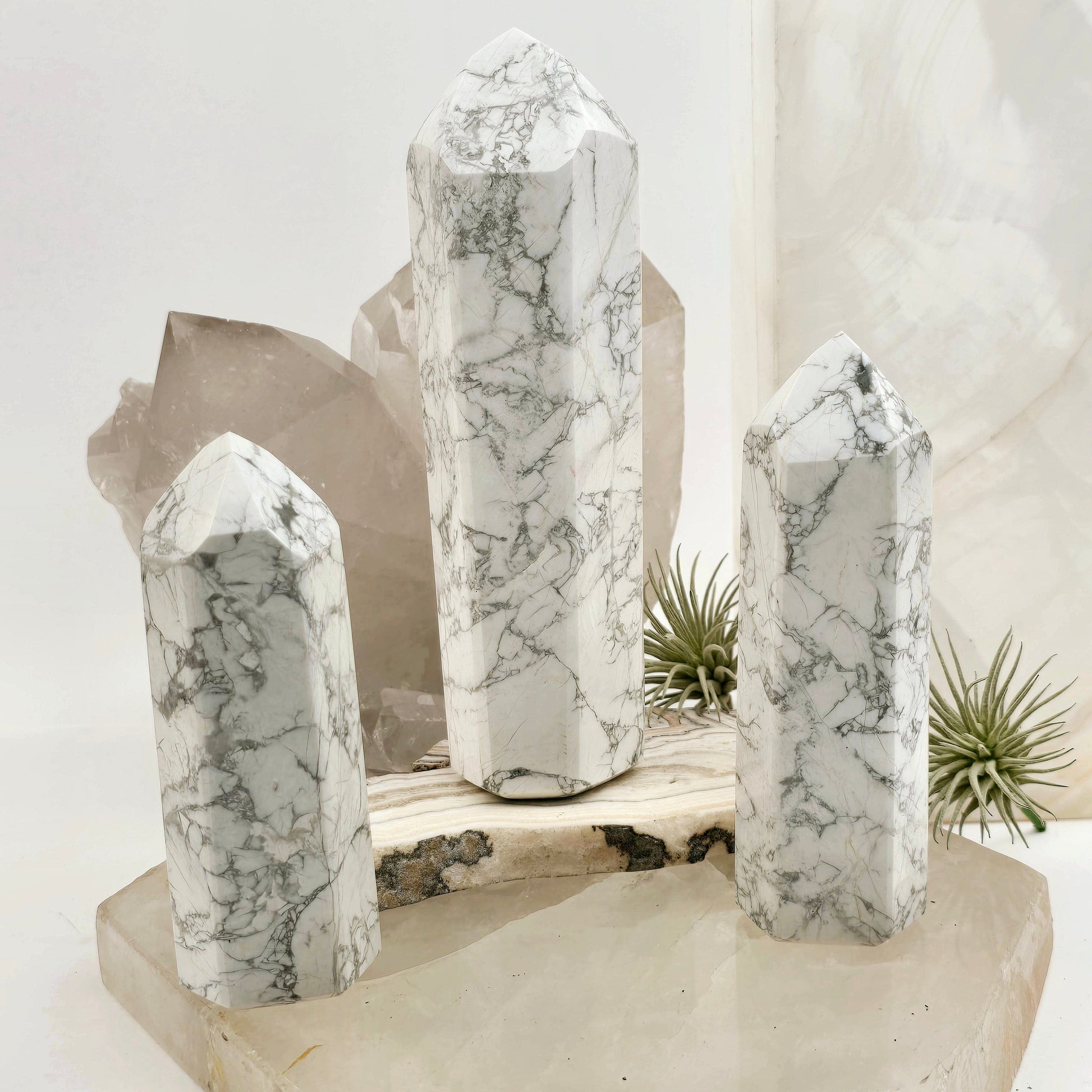 White Howlite Crystal Obelisk - You Choose #1 all variants with props and plants in the background