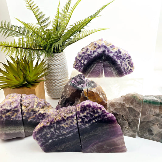 Fluorite Semi Polished Crystal Bookends - As Is - You Choose #2 all variants front view with props and plants in the background