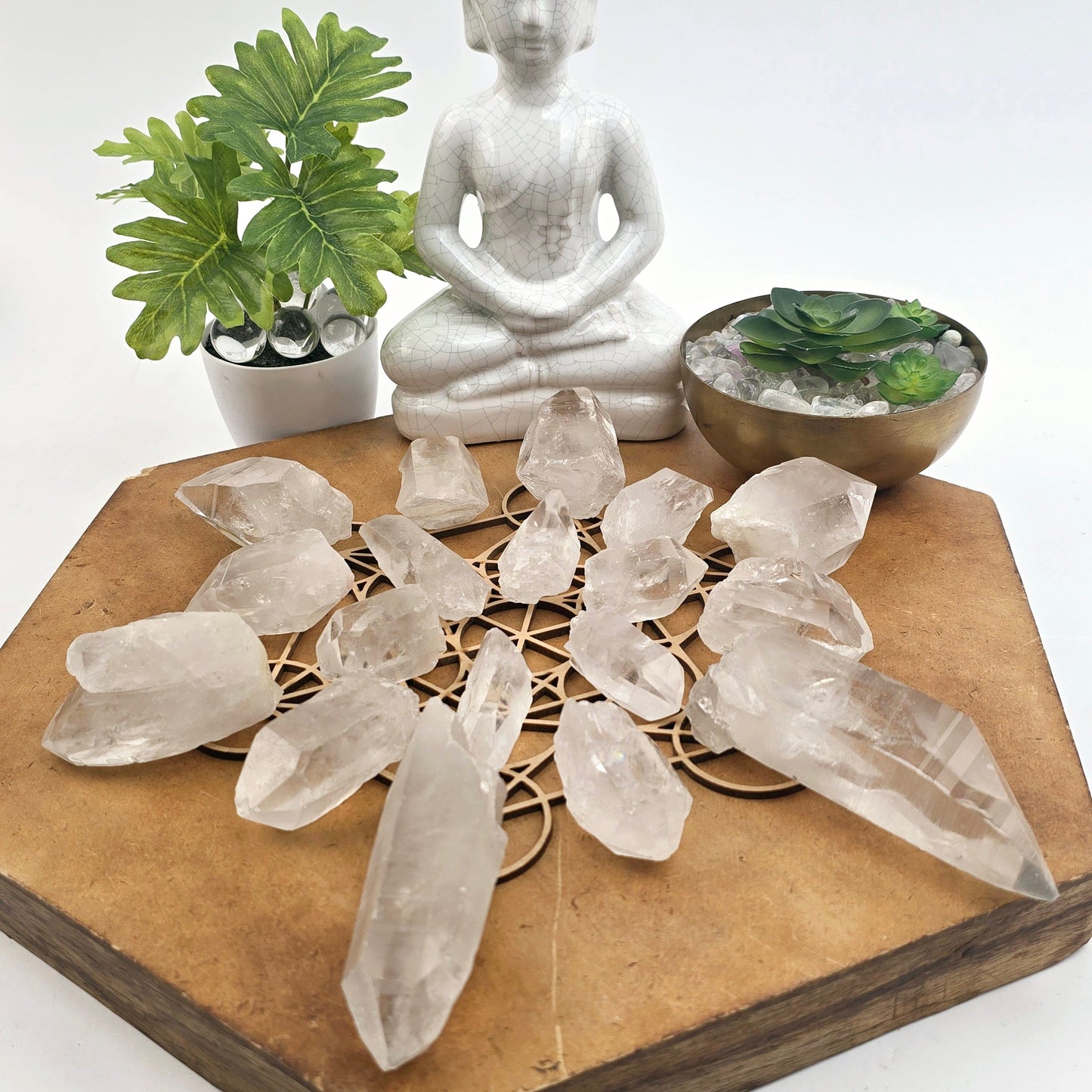 Crystal Quartz Extra Grade Points - By Weight side view all variants in circular grid with plants and props in the background