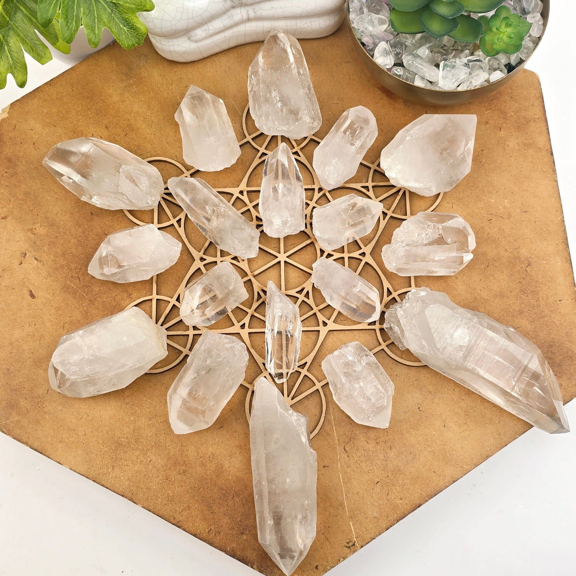 Crystal Quartz Extra Grade Points - By Weight top view all variants in circular grid with props and plants in the background