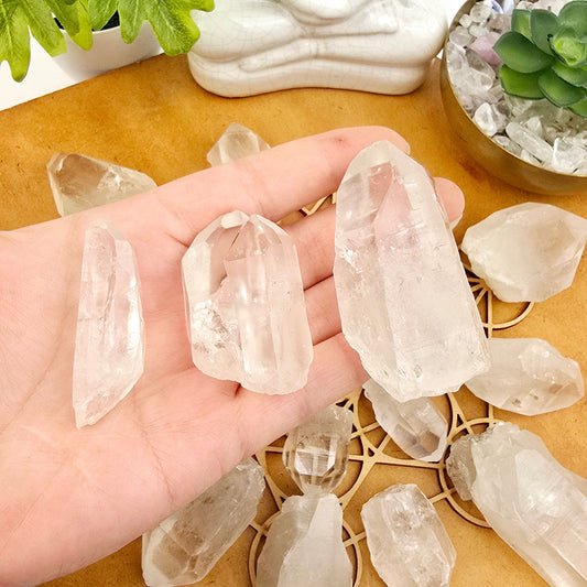 Crystal Quartz Extra Grade Points - By Weight each weight variant in hand with more points in the background on crystal grid with props and plants in the background