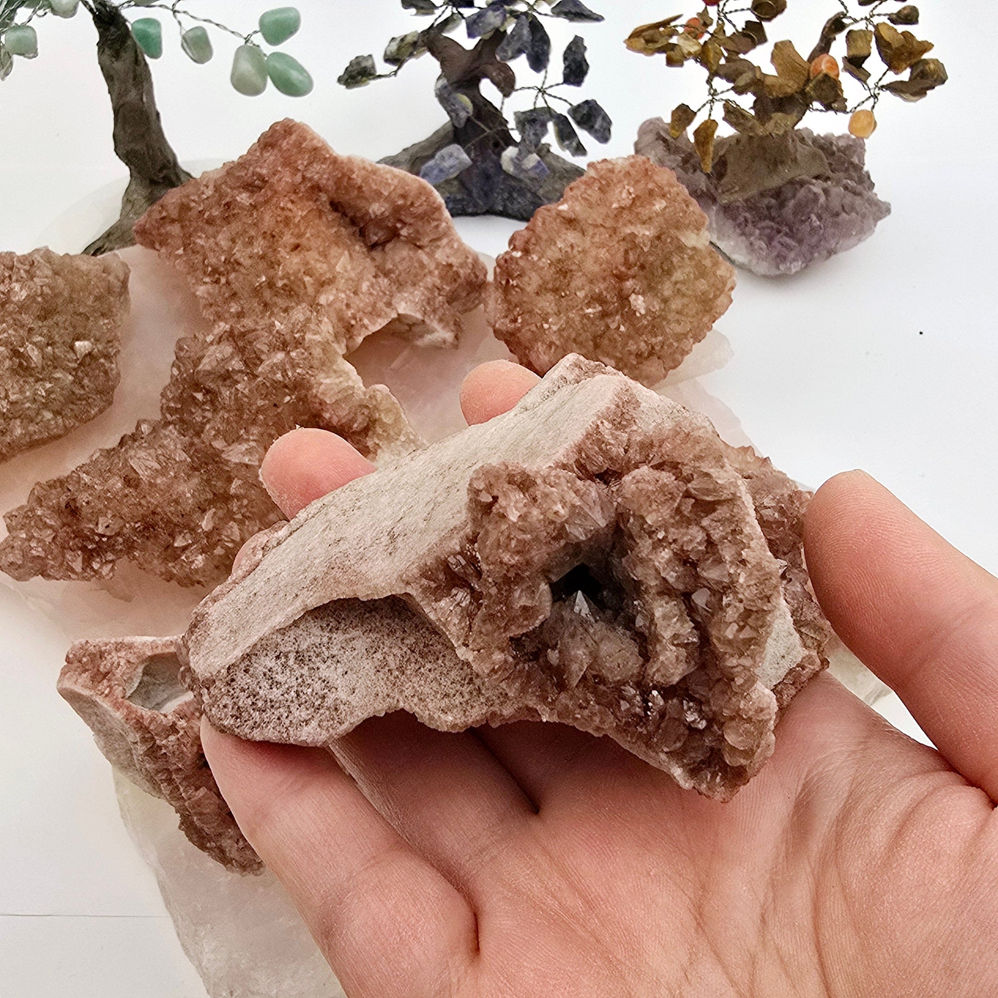 Lithium Quartz Crystal Cluster - You Choose variant 6 in hand for size reference with other variants in the background with plants
