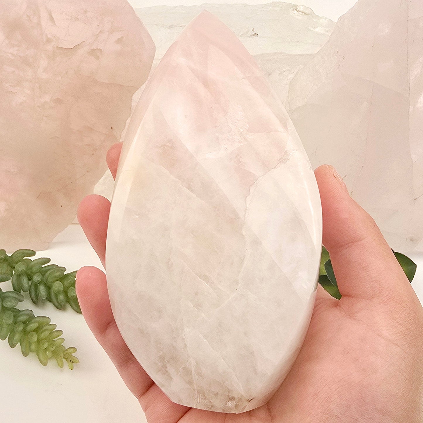 Rose Quartz Polished Crystal Flame Point Cut Base - One-of-a-Kind in hand for size reference with plants and props in the background