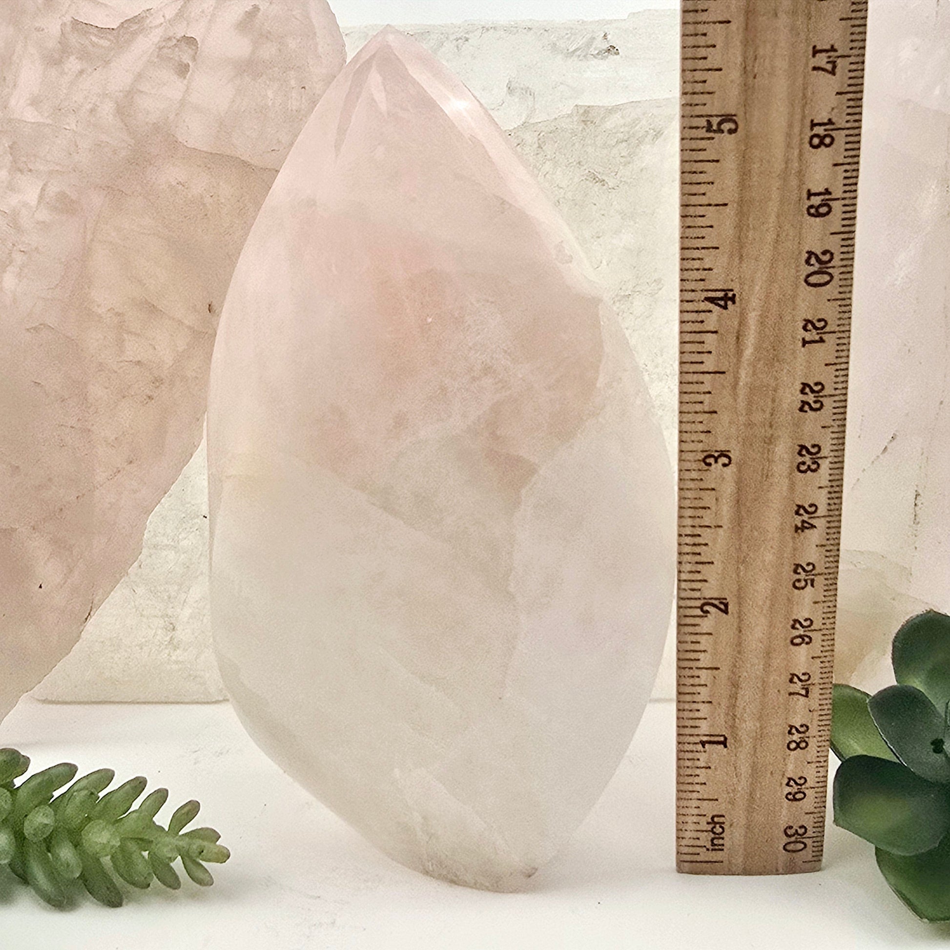 Rose Quartz Polished Crystal Flame Point Cut Base - One-of-a-Kind front view with ruler for size reference