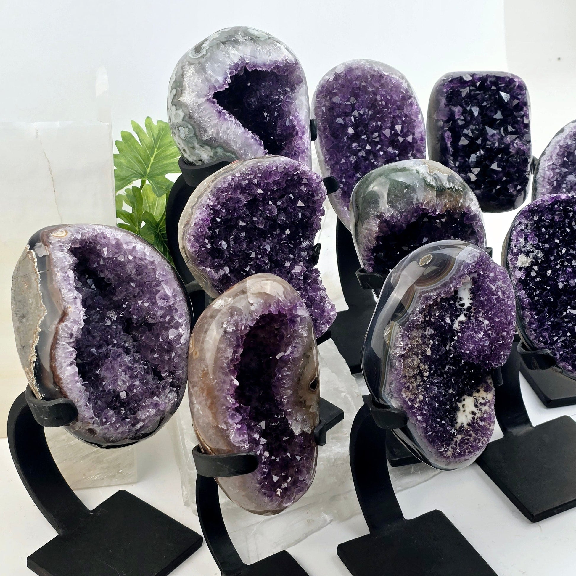 Amethyst Crystal Cluster on Metal Stand from Uruguay - You Choose #1 all variants side view with plants and props in the background