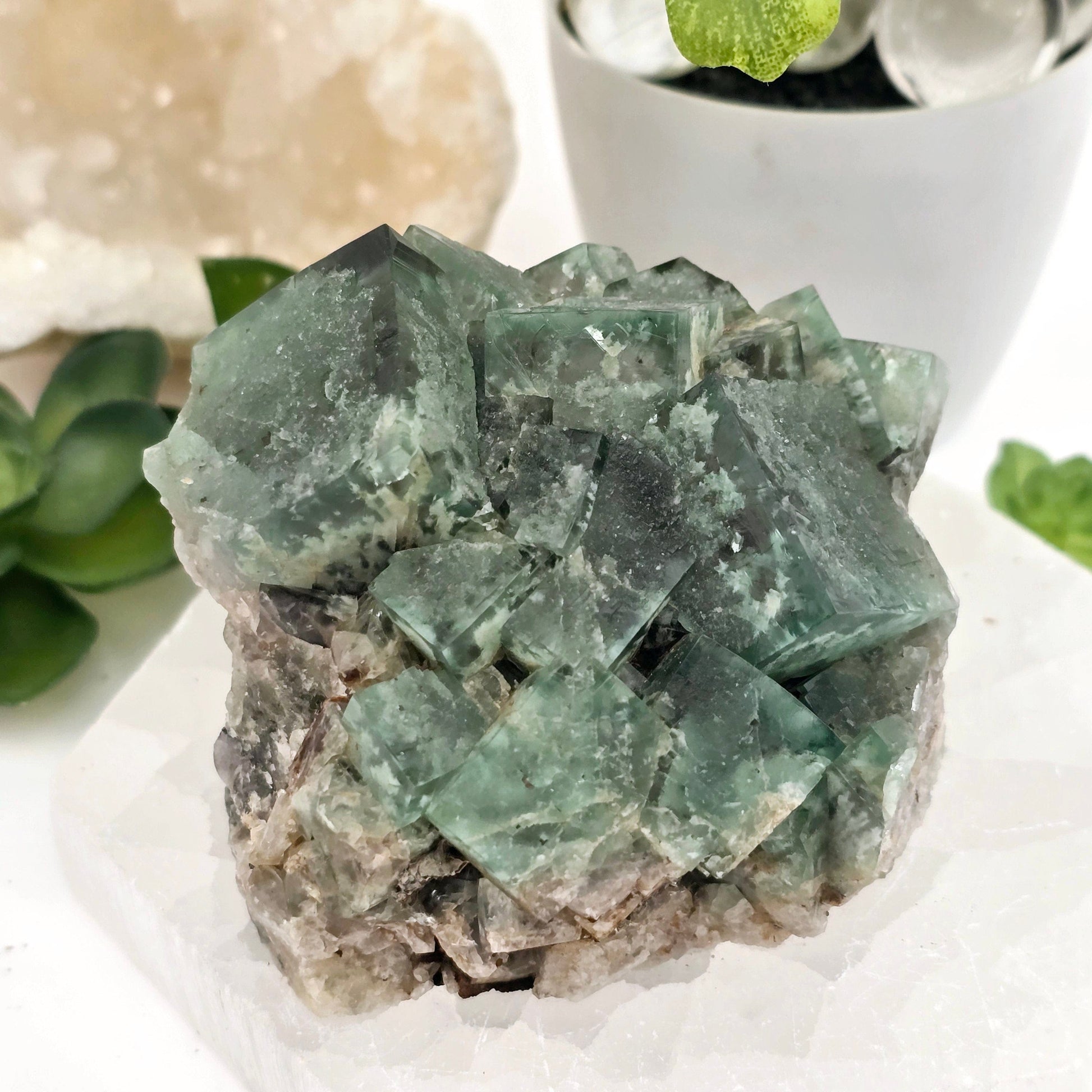 Lady Annabella Mine Fluorite Crystal Cluster from England #2 front view with props and plants in the background