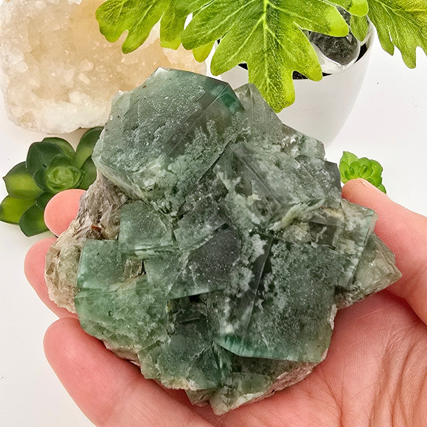 Lady Annabella Mine Fluorite Crystal Cluster from England #2 in hand for size reference