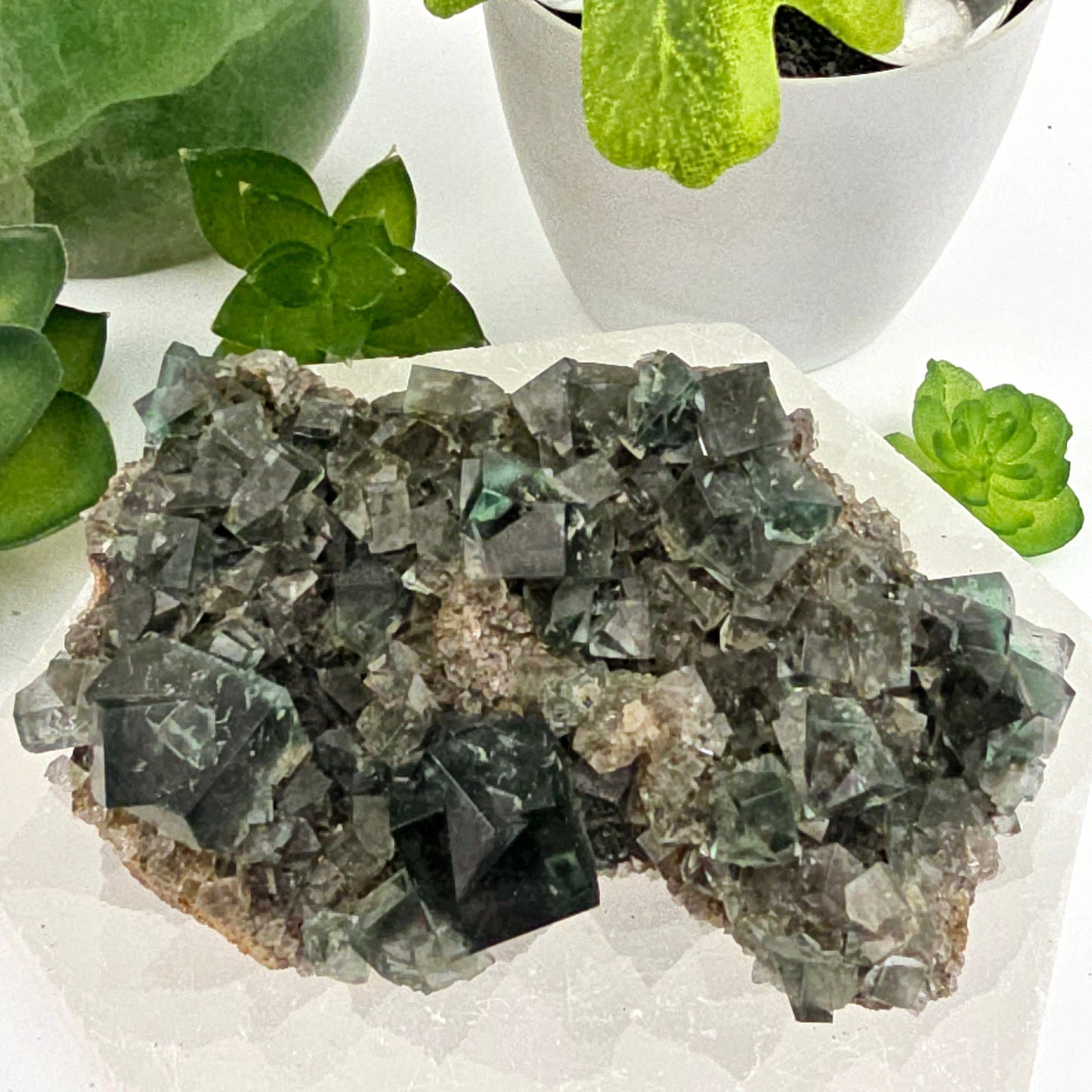 Lady Annabella Mine Fluorite Crystal Cluster from England #3 front view with plants and props in the background