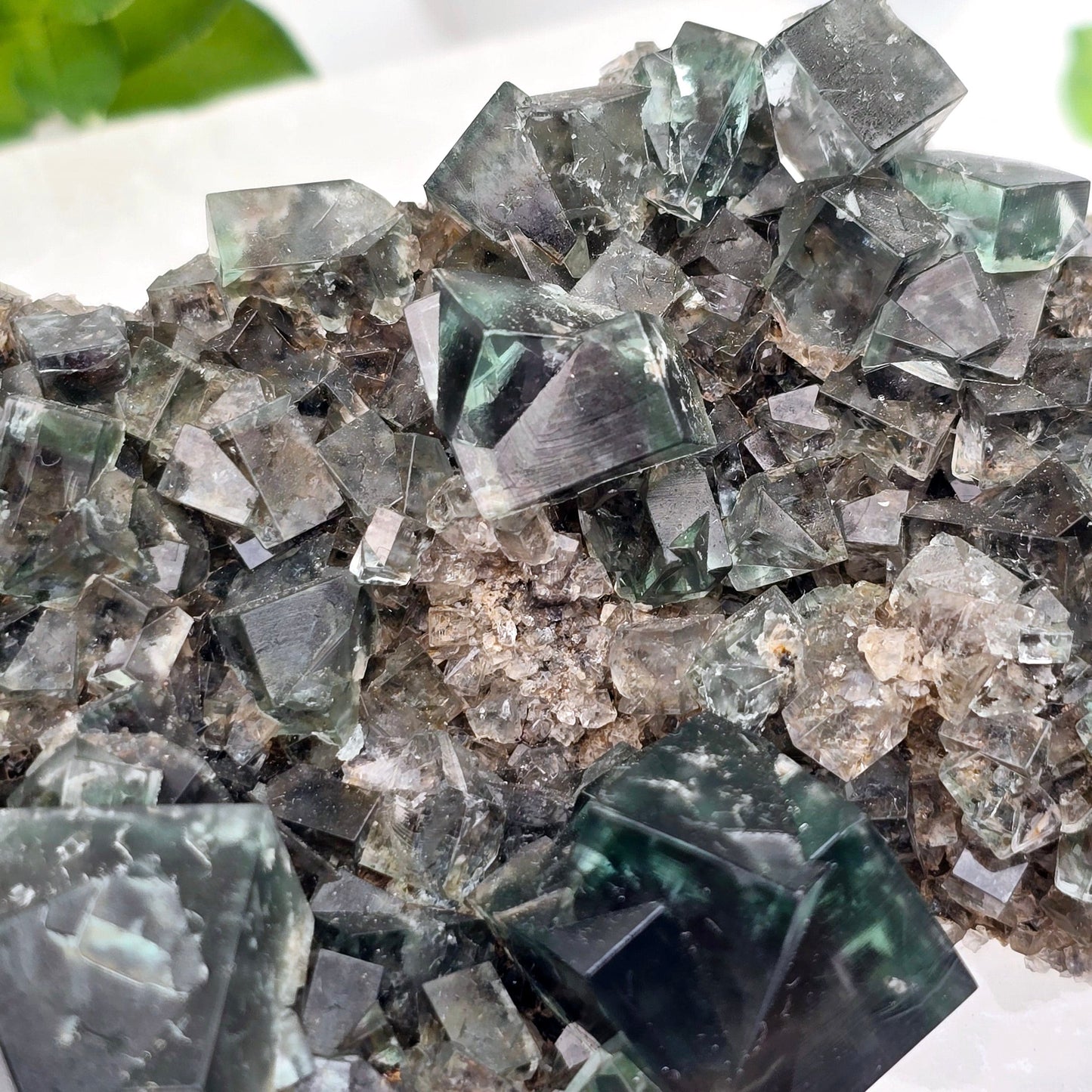 Lady Annabella Mine Fluorite Crystal Cluster from England #3 closeup for detail