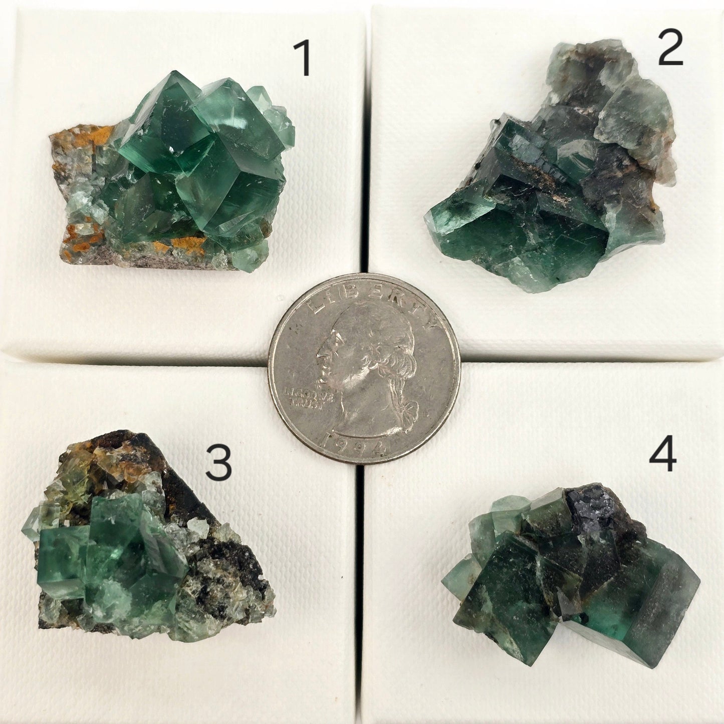 Diana Maria Mine Fluorite Crystal Cluster from England - You Choose #1 variants 1, 2, 3, and 4 labeled with quarter for size reference