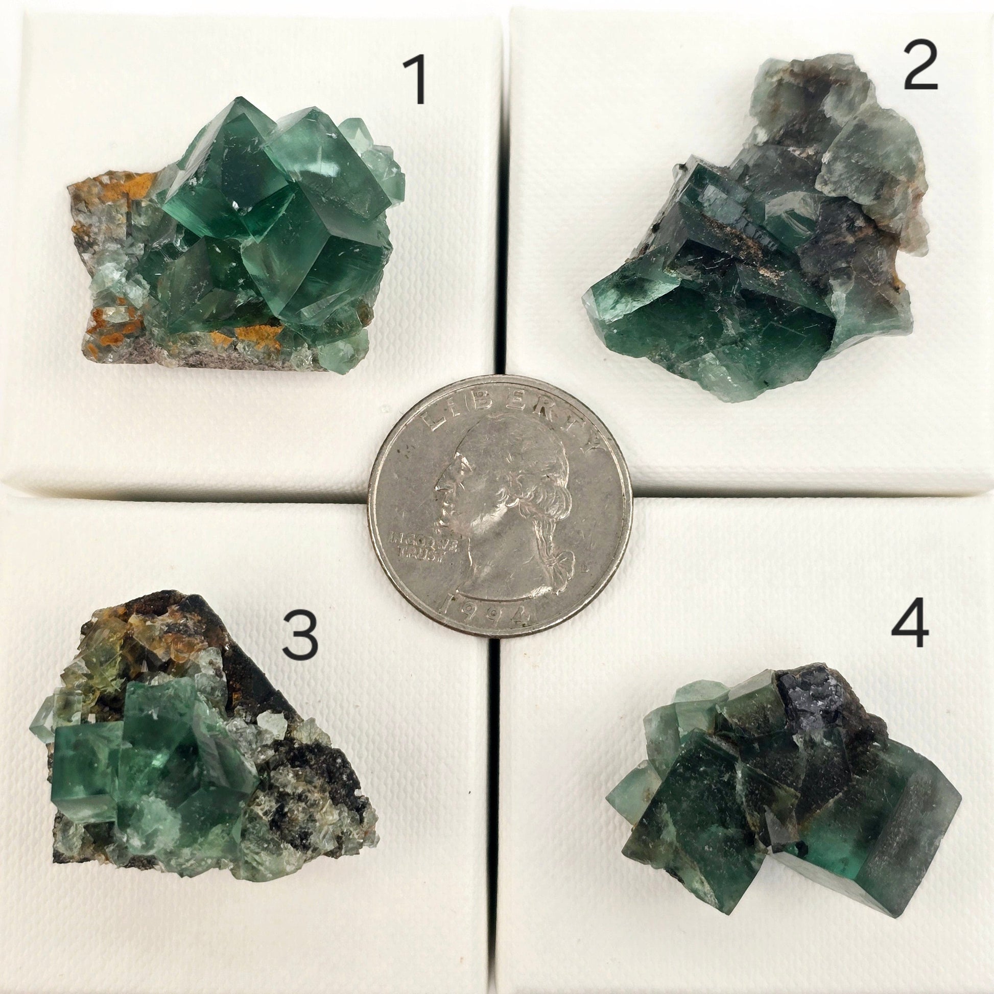 Diana Maria Mine Fluorite Crystal Cluster from England - You Choose #1 variants 1, 2, 3, and 4 labeled with quarter for size reference