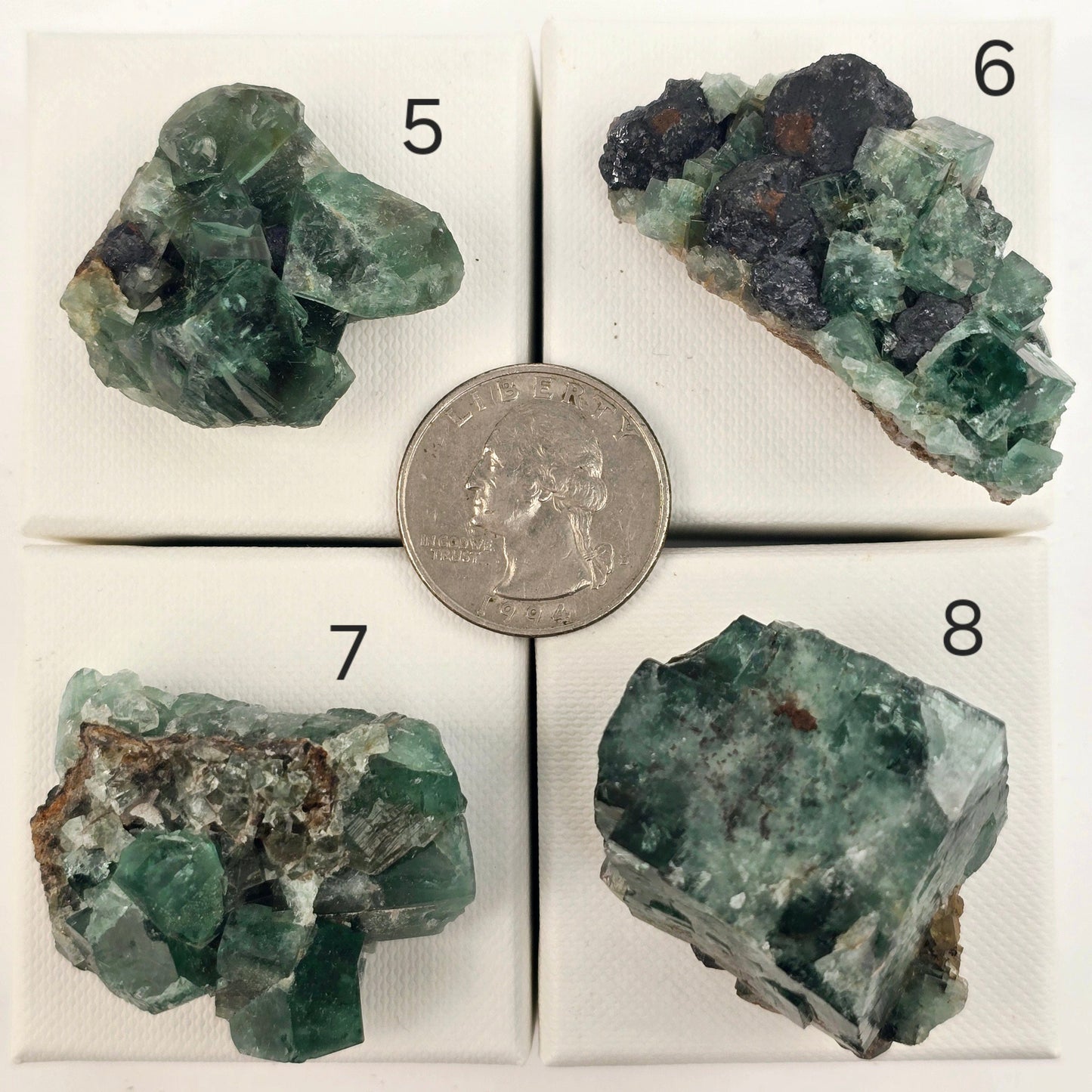 Diana Maria Mine Fluorite Crystal Cluster from England - You Choose #1 variants 5, 6, 7, and 8 labeled with quarter for size reference