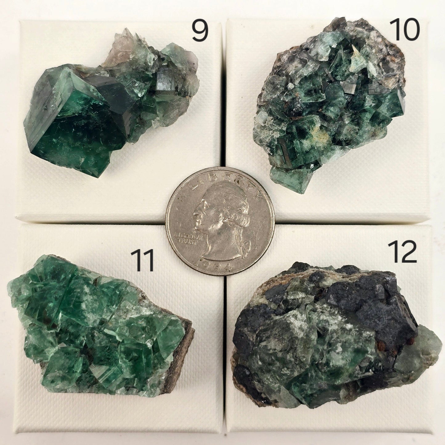 Diana Maria Mine Fluorite Crystal Cluster from England - You Choose #1 variants 9, 10, 11, and 12 labeled with quarter for size reference