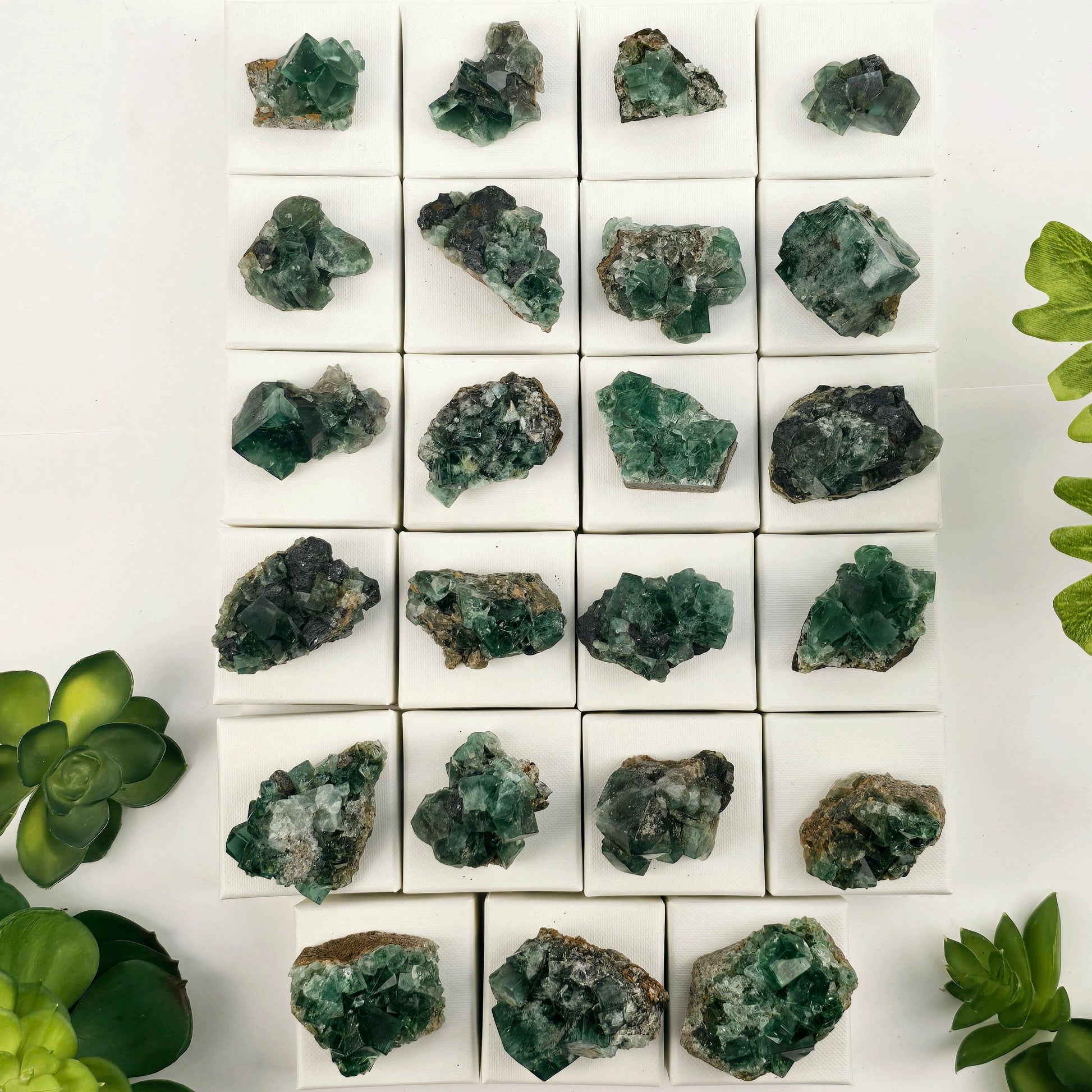 Diana Maria Mine Fluorite Crystal Cluster from England - You Choose #1 top view all variants with plants in the background