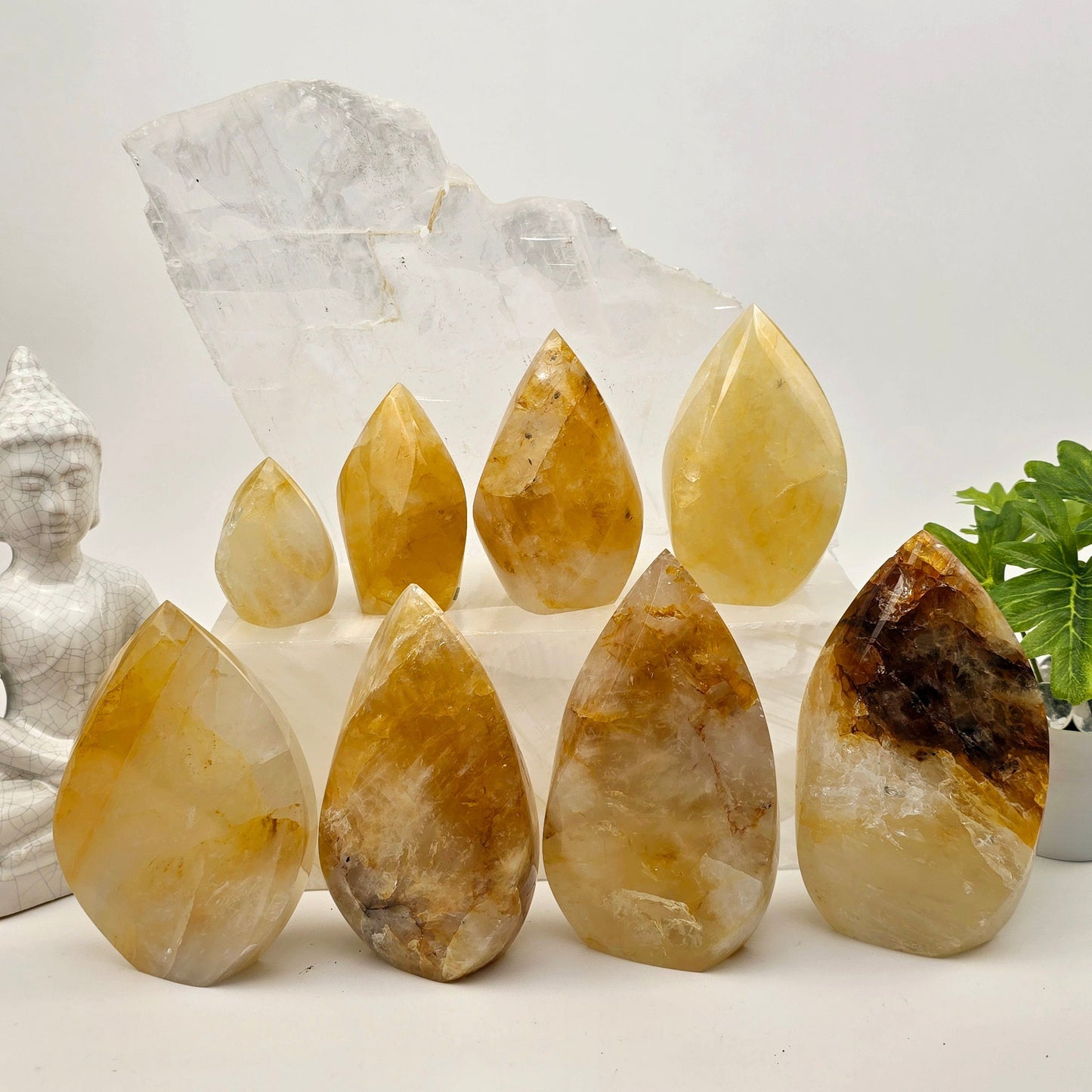 Golden Healer Crystal Flame Point Cut Base - By Weight all variants with props and plants in the background