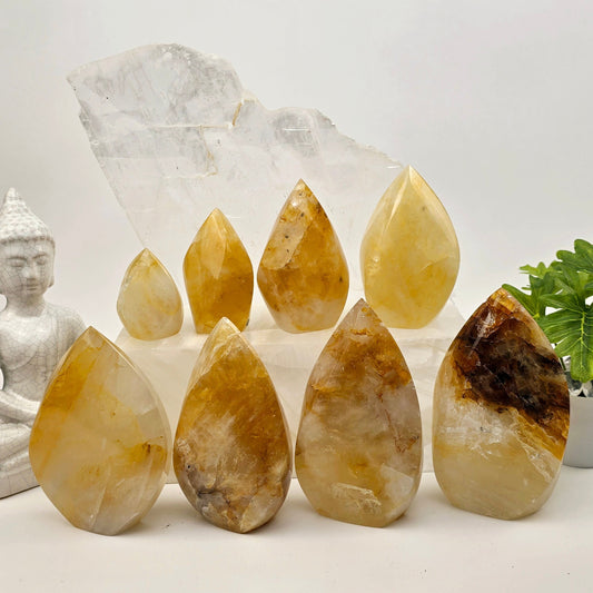 Golden Healer Crystal Flame Point Cut Base - By Weight all variants with props and plants in the background