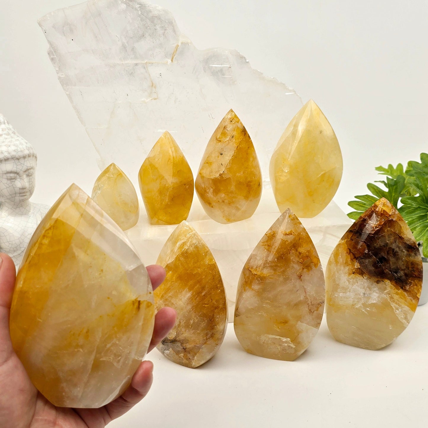 Golden Healer Crystal Flame Point Cut Base - By Weight 500-600g variant in hand for size reference with other variants in the background with props and plants