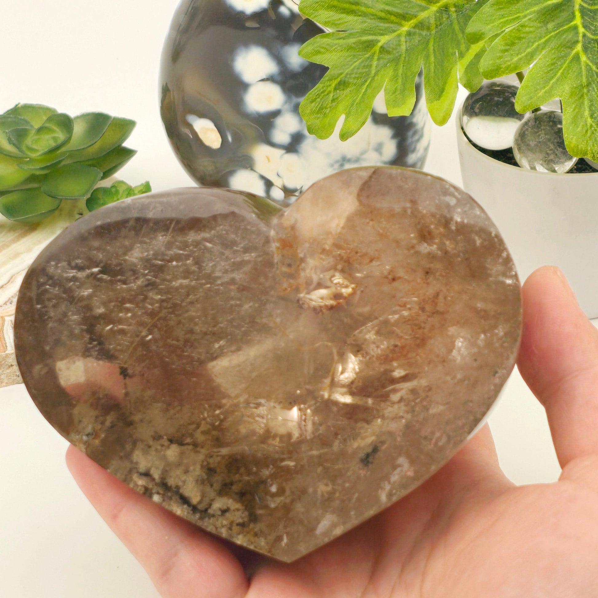Rutilated Smokey Quartz Lodalite Crystal Heart Cut Base - One-of-a-Kind in hand for size reference with props and plants in the background