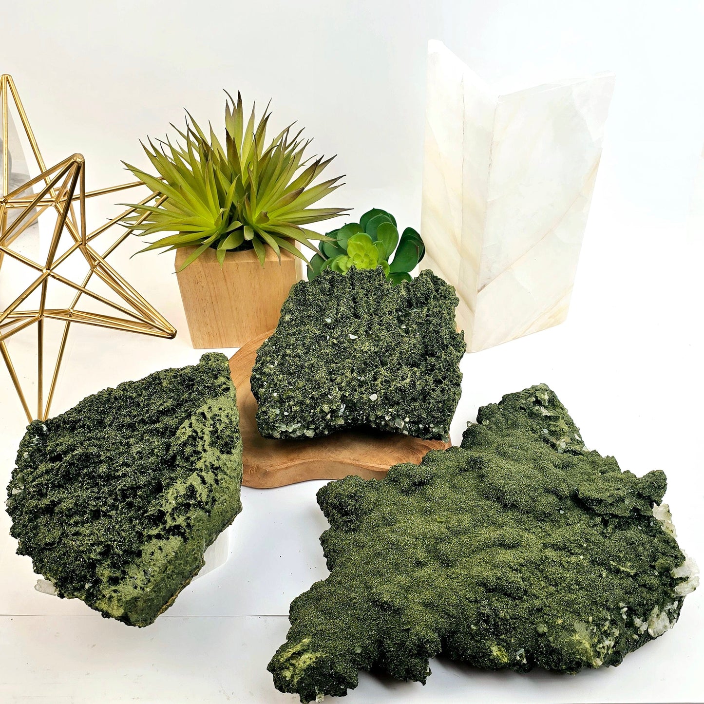 Forest Epidote with Quartz Crystal Cluster from Turkey - You Choose top view all variants with props and plants in the background